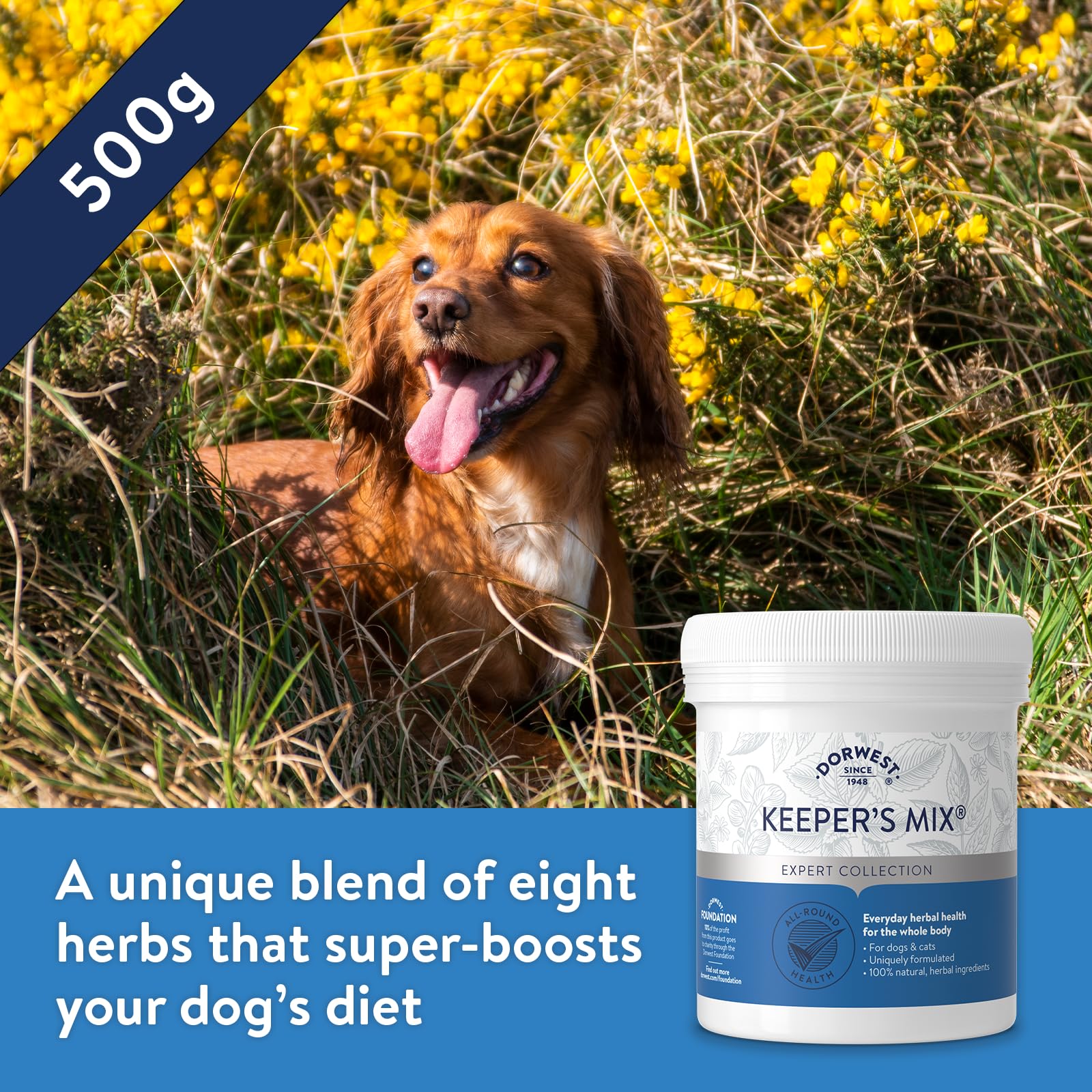 DORWEST HERBS Keeper’s Mix Herbal Supplement for Dogs and Cats - 500g Powder