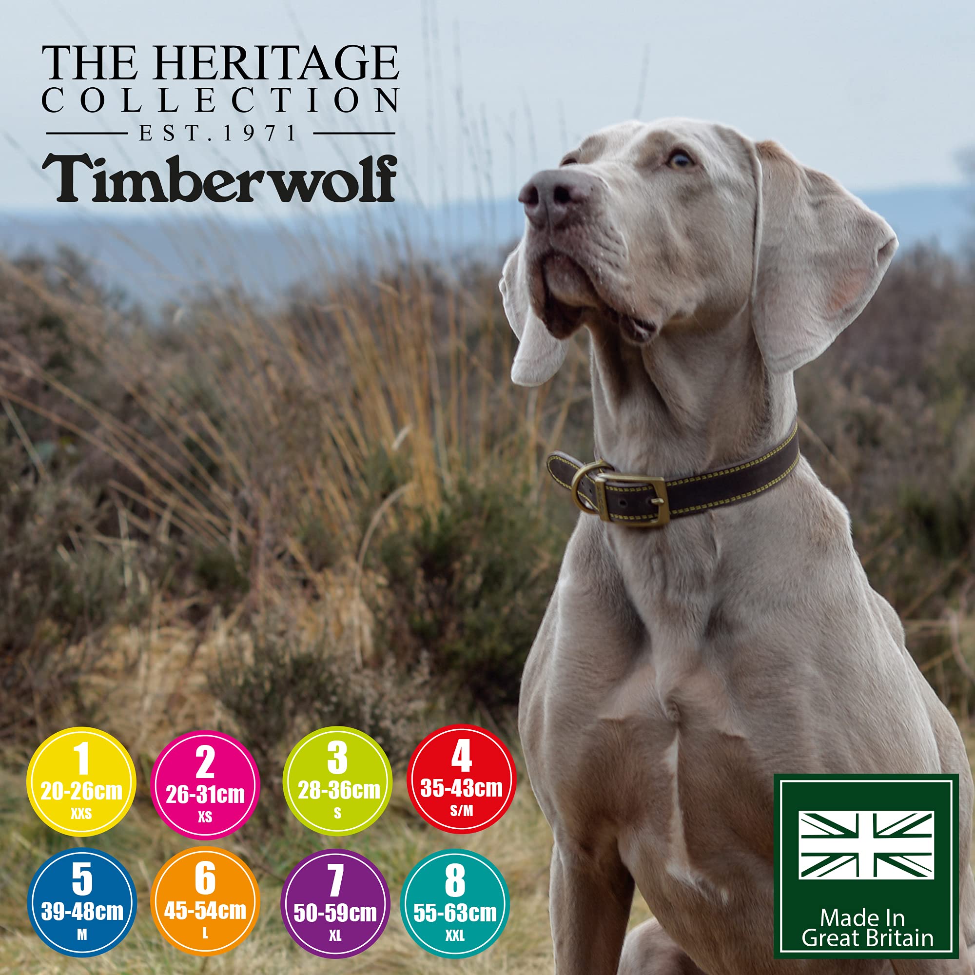 Ancol Timberwolf Leather Dog Collar - Blue | Size 3 (28-36 cm Neck) | 1.6 cm Width 5