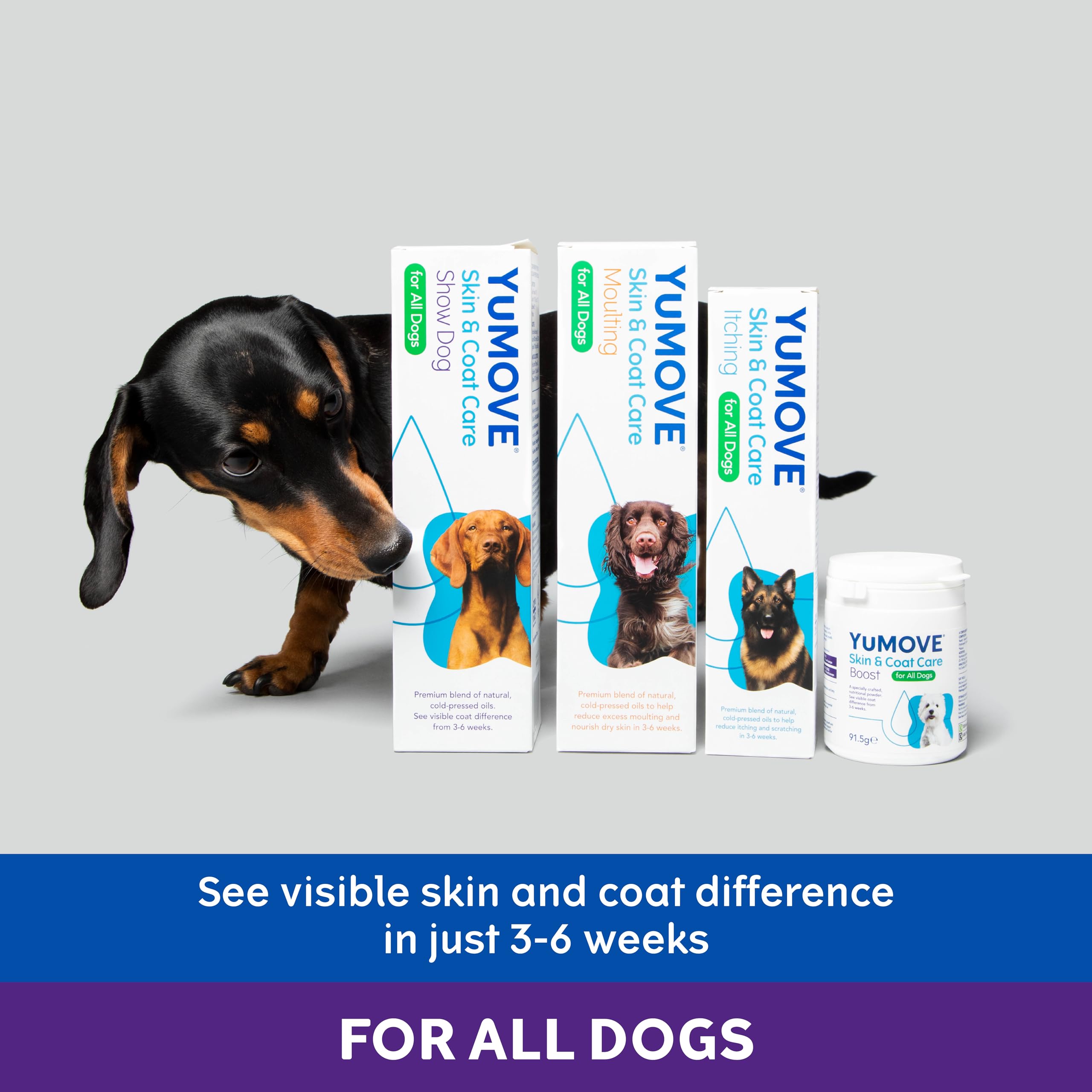 YuMOVE Skin & Coat Care Boost Nutritional Powder Supplement for Dogs | Supports Coat Growth & Skin Health | 125g 3