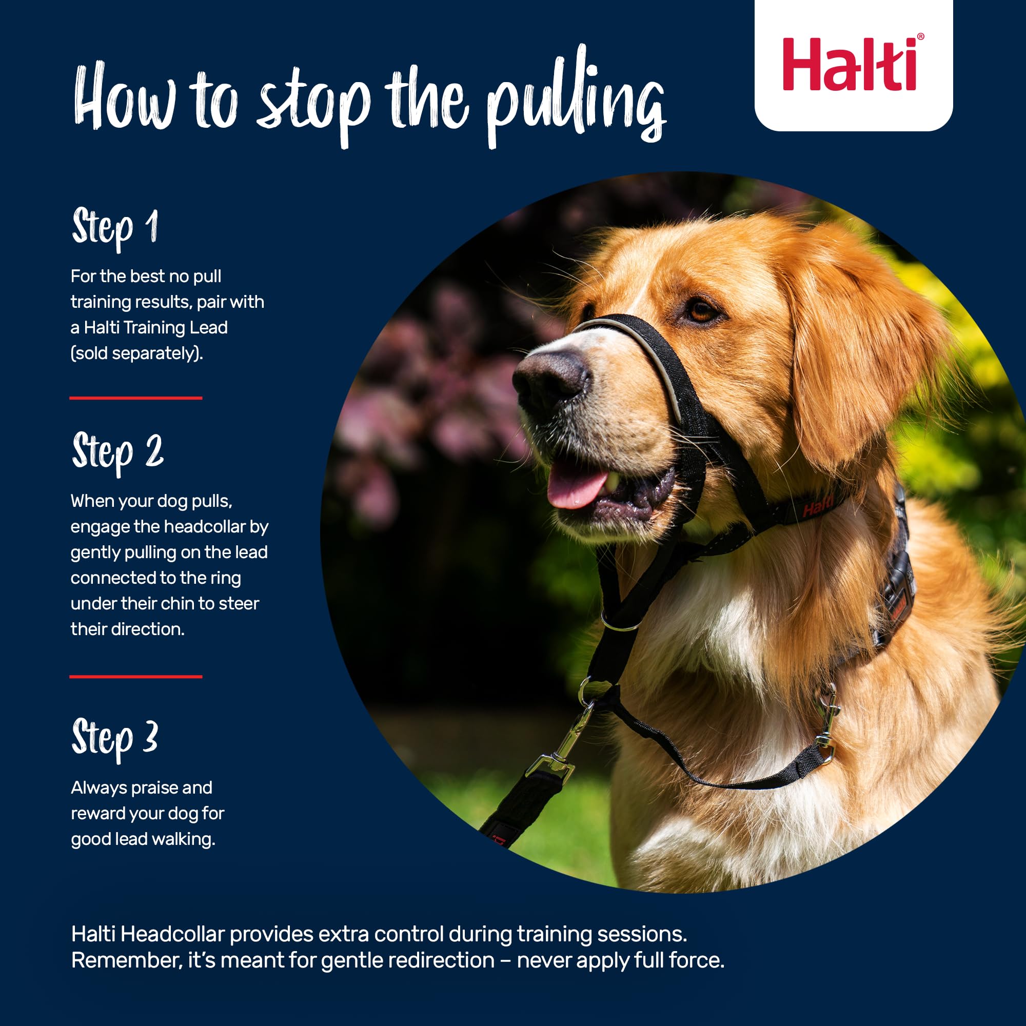 Halti Headcollar for Dogs - Stops Pulling | Size 3, Pink 4