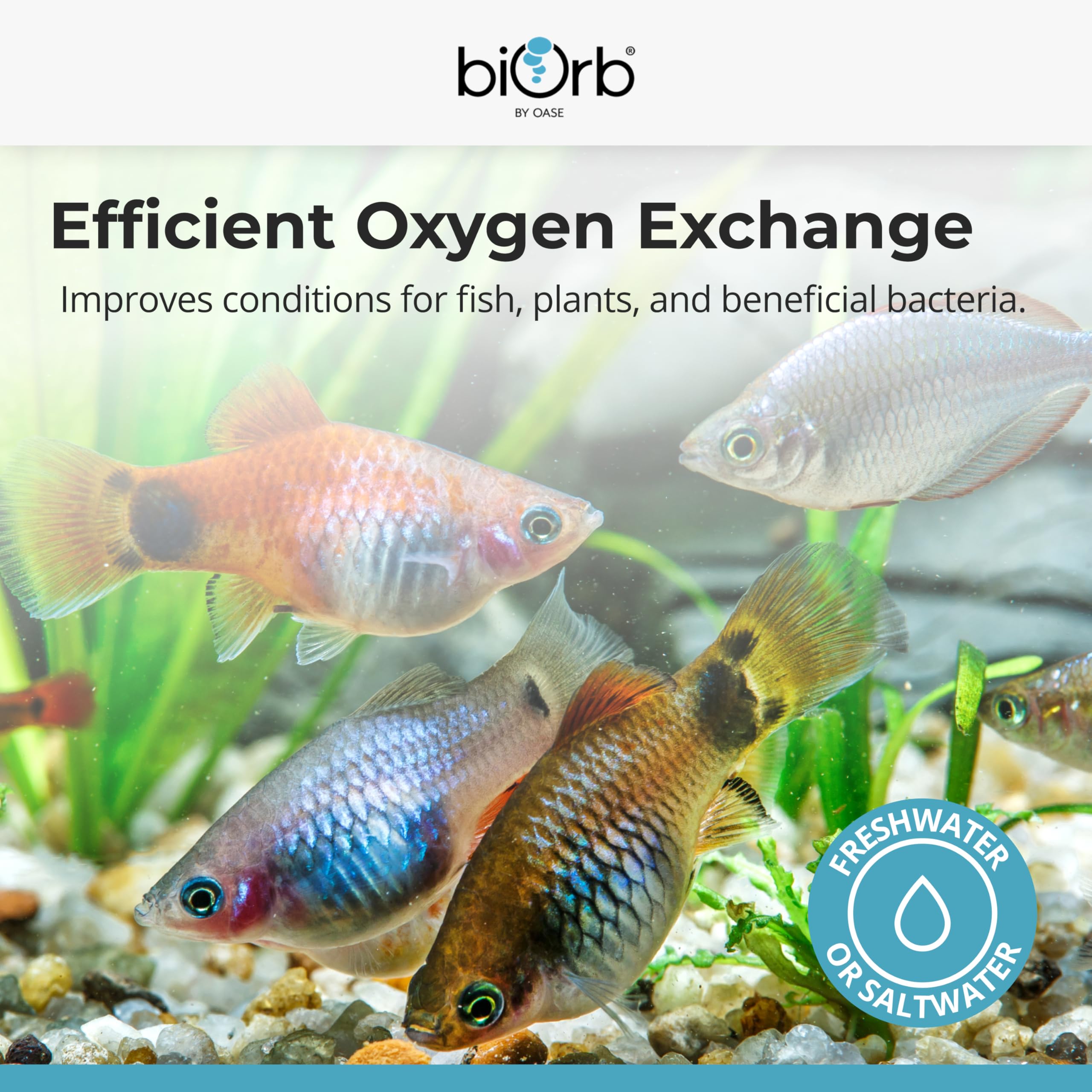 biOrb Air Stone - Essential Aeration for Consistent Oxygen Circulation | 3.5 x 1 cm 3