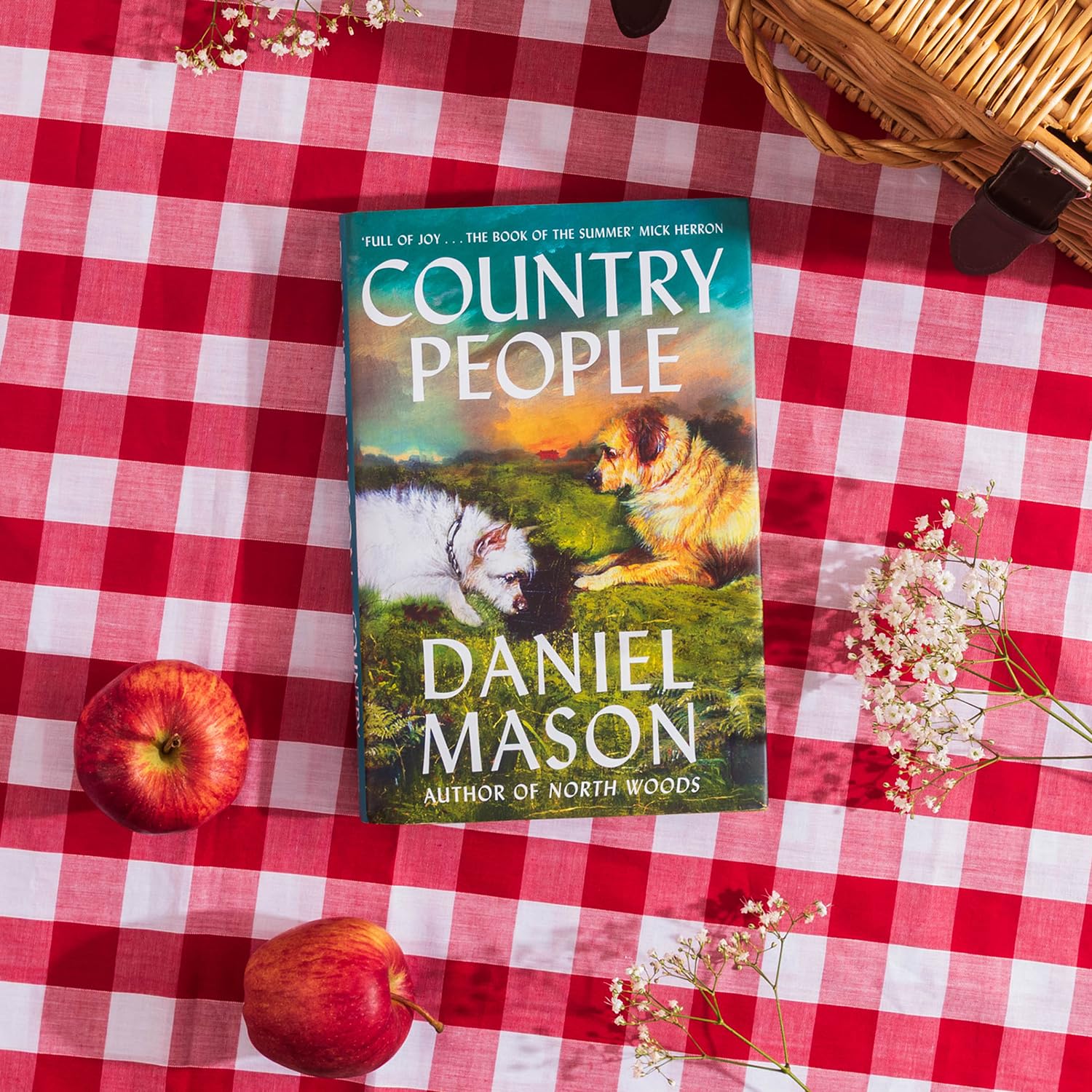 Country People by Daniel Mason - Humorous Fiction | Hardcover