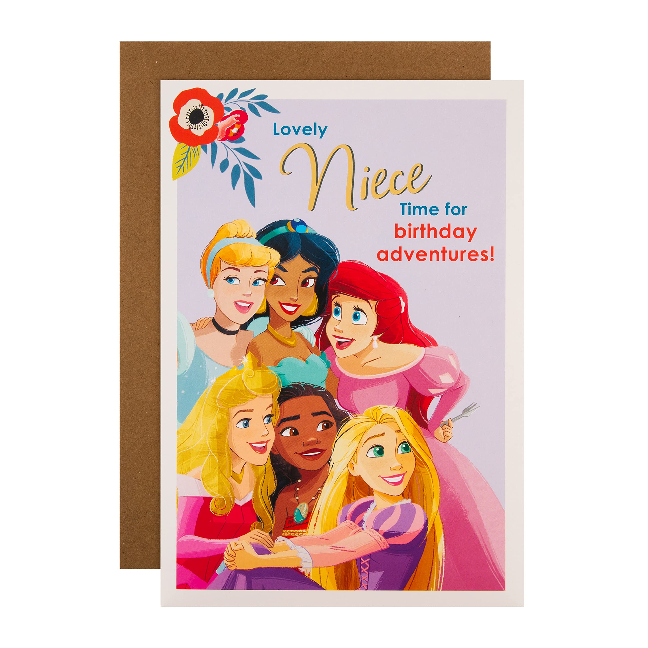 Hallmark Disney Princess Niece Birthday Card with Gold Foil & Sticker Sheet | H22.8cm x W15.9cm