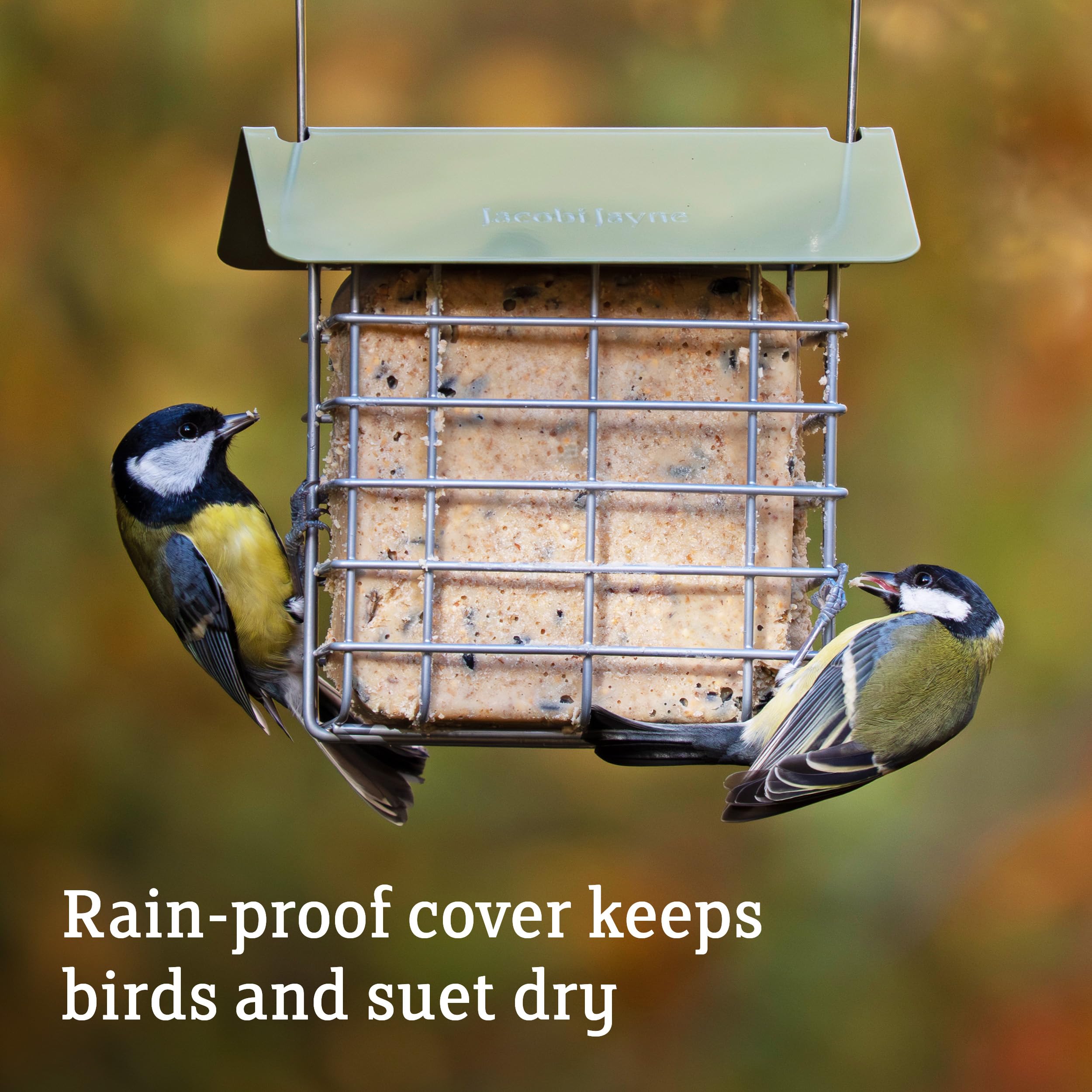 Jacobi Jayne Suet Cake Feeder - Holds 2 Suet Blocks | Weather Resistant Green Feeder 2