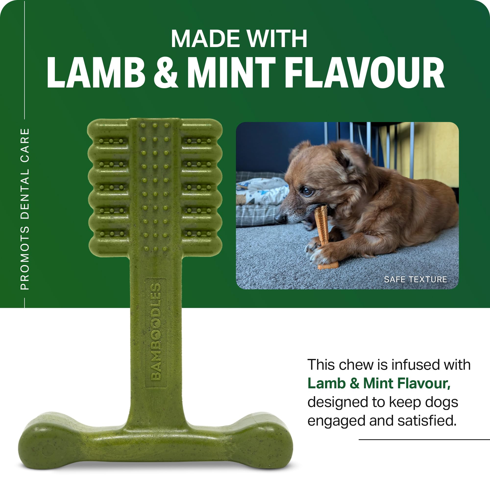Bamboodles T-Bone Dog Chew Toy - Medium Size | Mint & Lamb Flavor | Heavy Duty 5