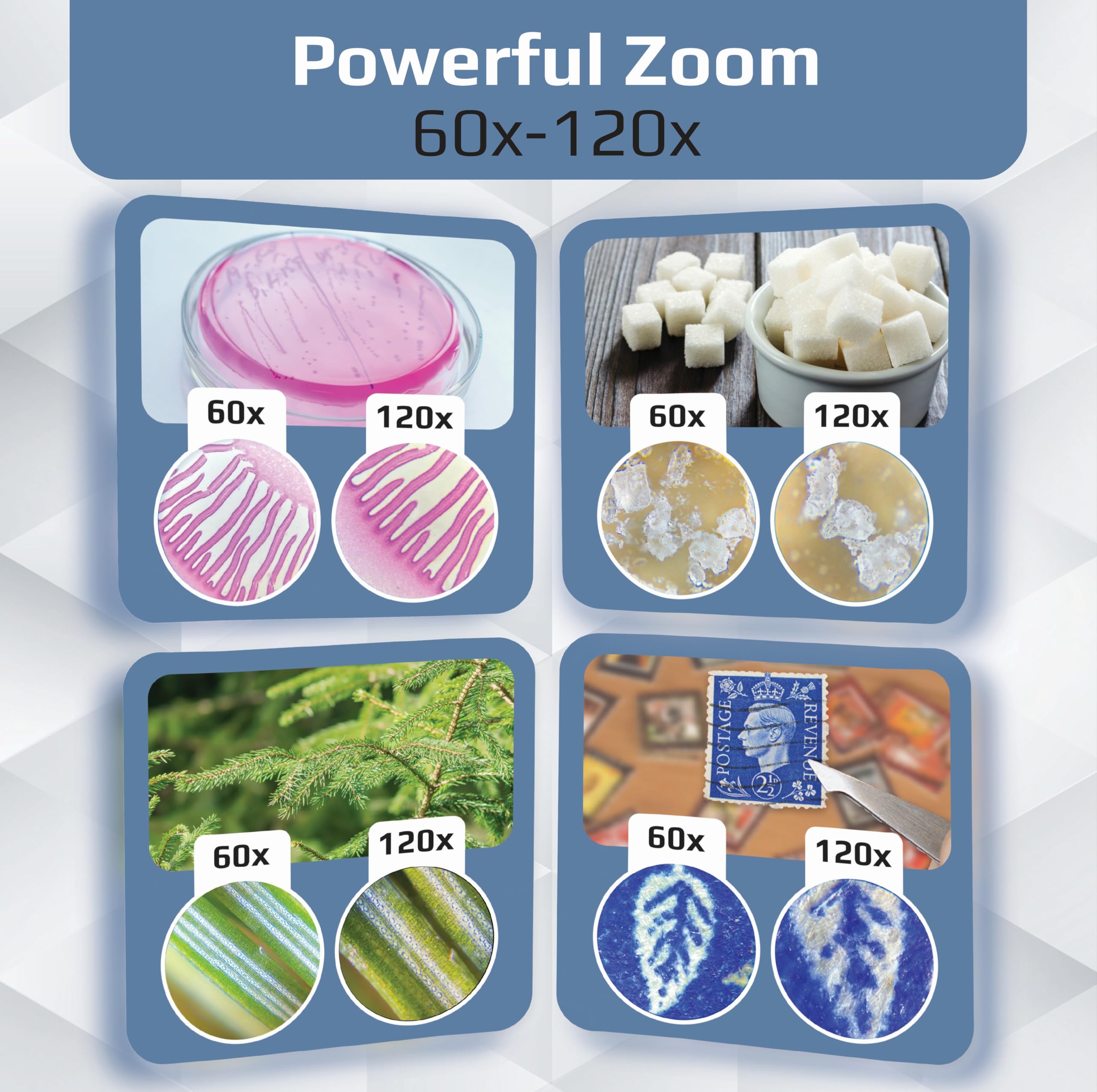 Carson MM-350 MicroBrite Pro Pocket Microscope with Smartphone Adapter 6