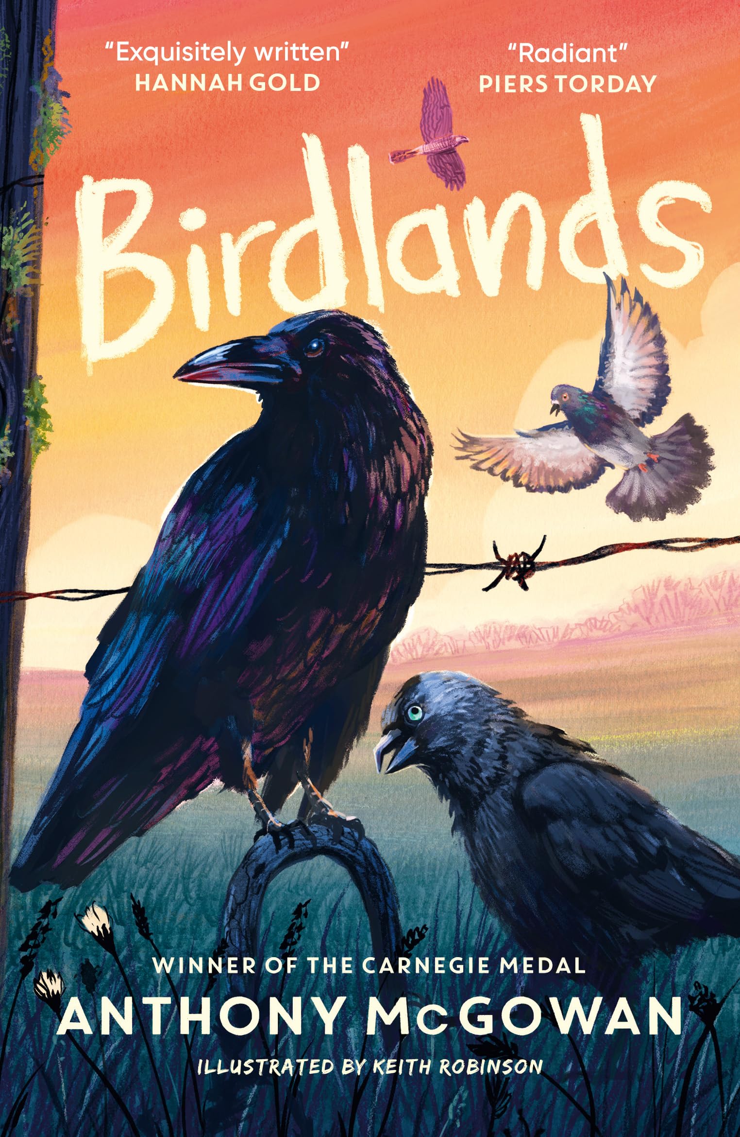 Birdlands by Anthony McGowan | Children's Friendship Book | Paperback 1