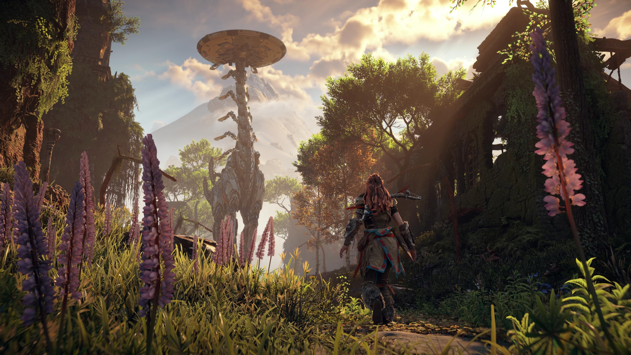 Horizon Zero Dawn Remastered [PS5] 6