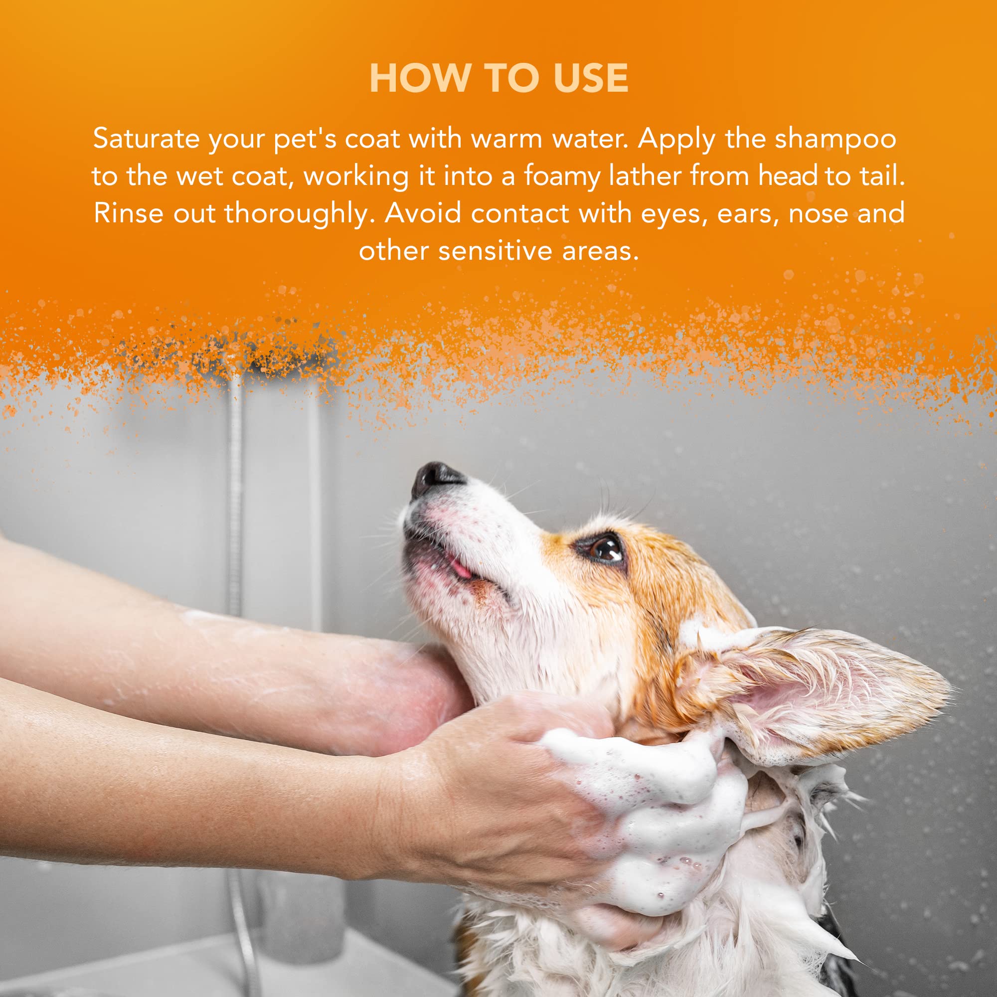 Wahl Mucky Puppy Shampoo - Gentle Formula with Aloe Vera for Sensitive Skin | 250ml Citrus Scent 4