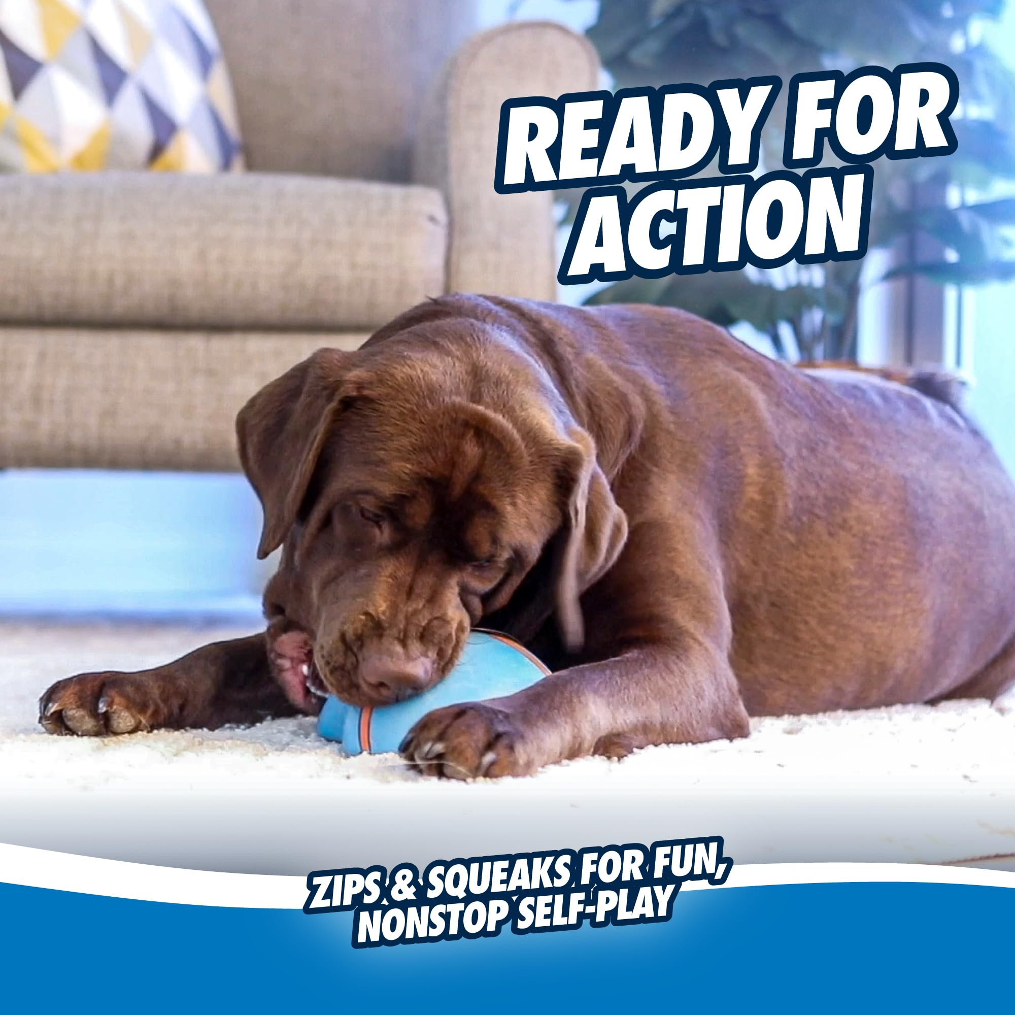 Chuckit! Indoor Super Slider Dog Toy - Glides on Floors | Squeaker Included | Blue Size M 5