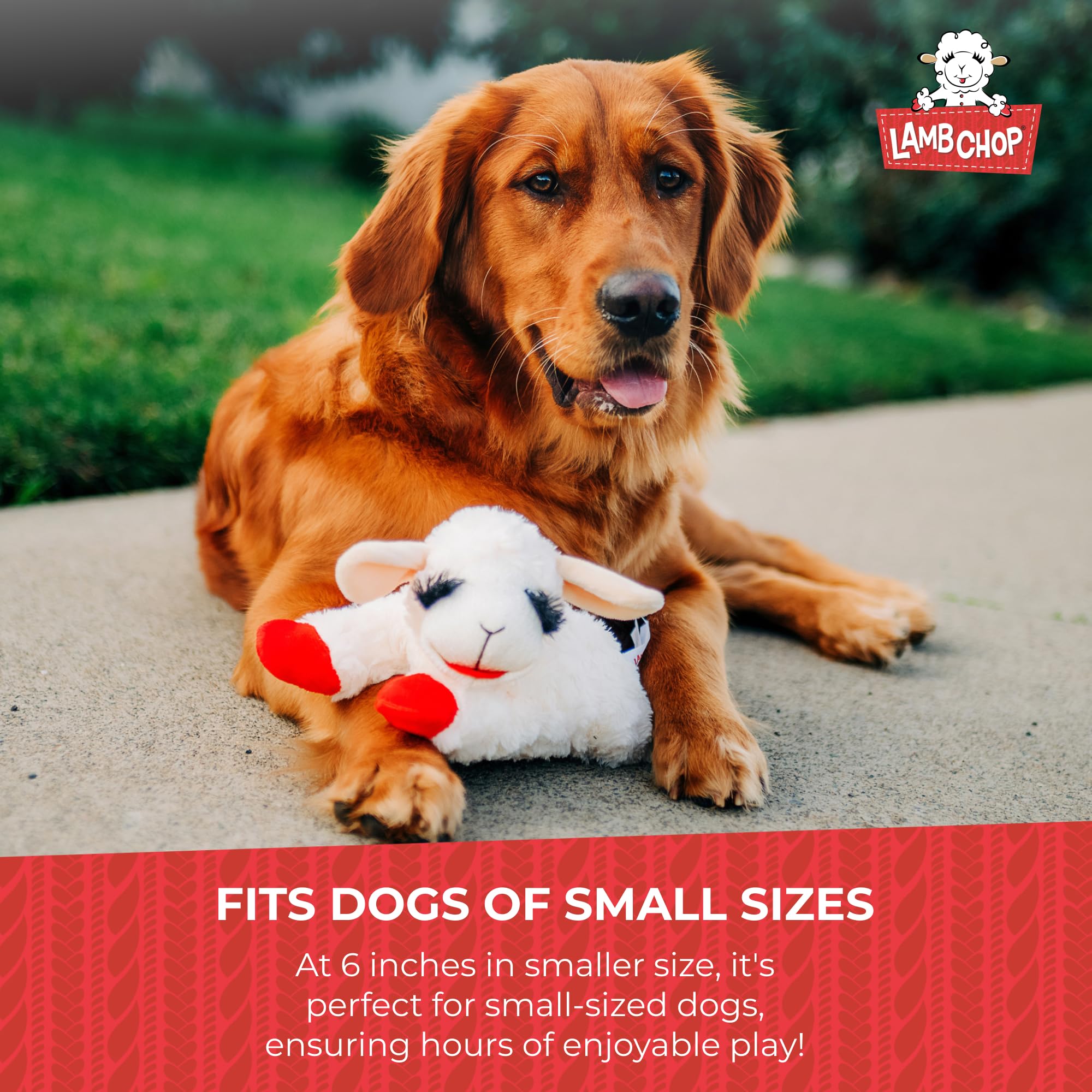 Multipet Lambchop Mini Plush Squeaky Dog Toy - 7 Inches, White, Made In America 8