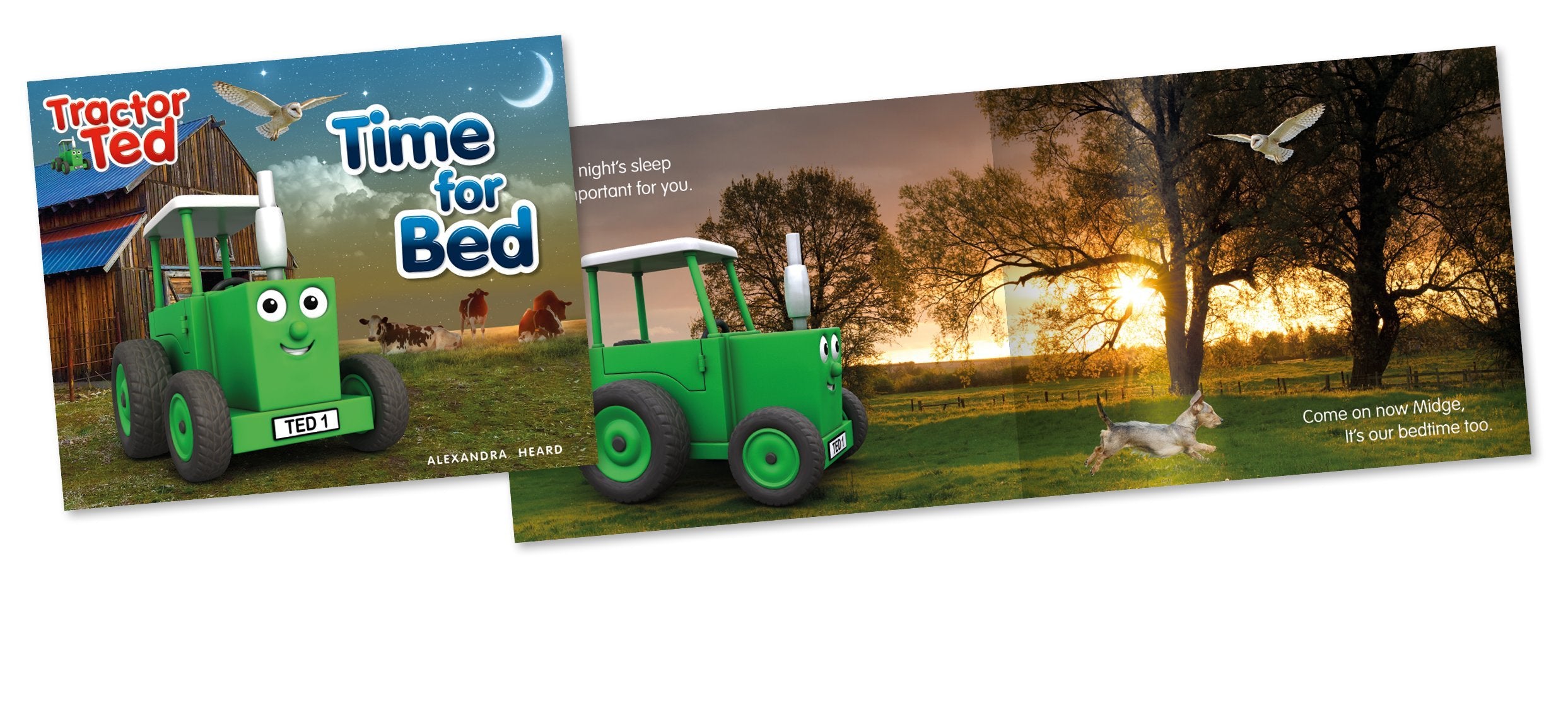 Tractor Ted - Time for Bed: Tractor Ted: 10 | Paperback | English 2