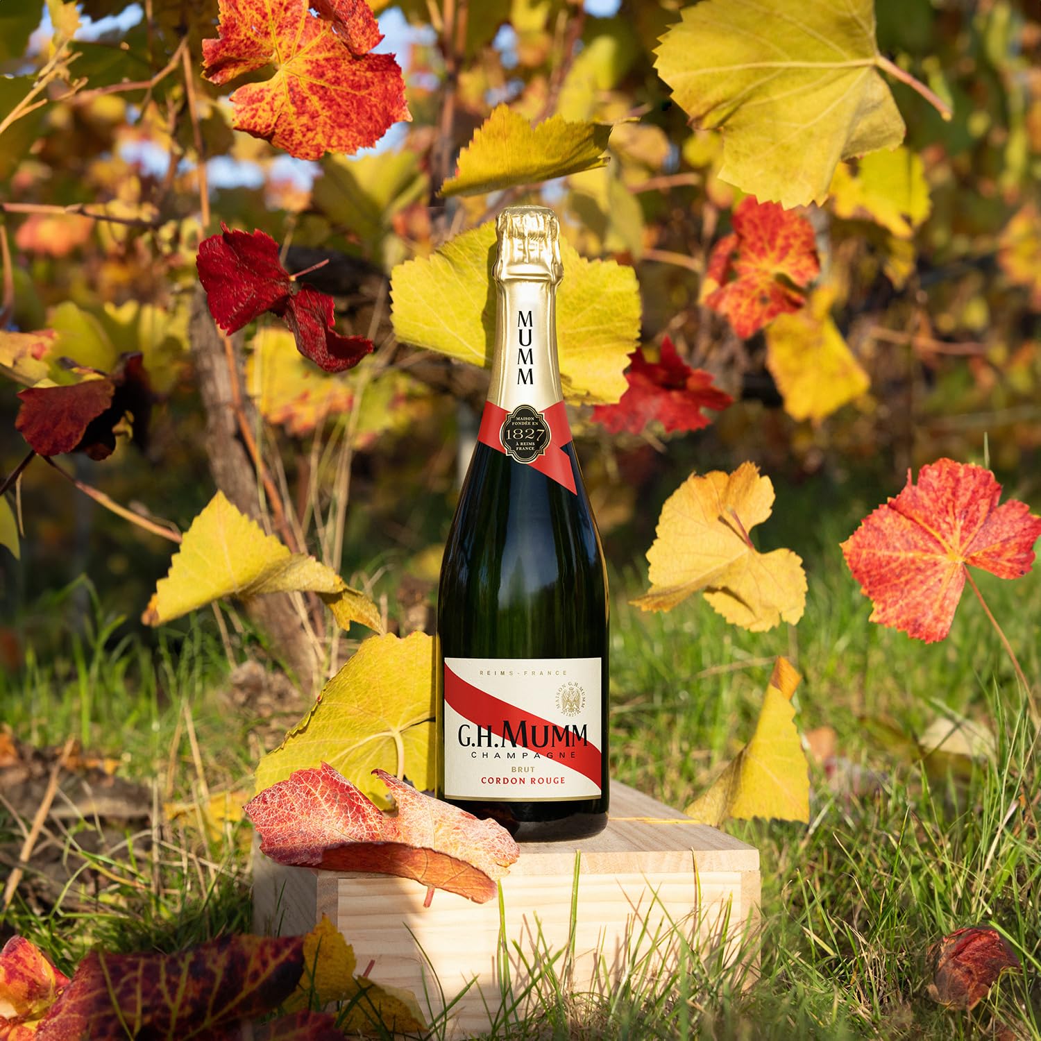 g.h. mumm Cordon Rouge Brut Champagne | 75 cl | France 3