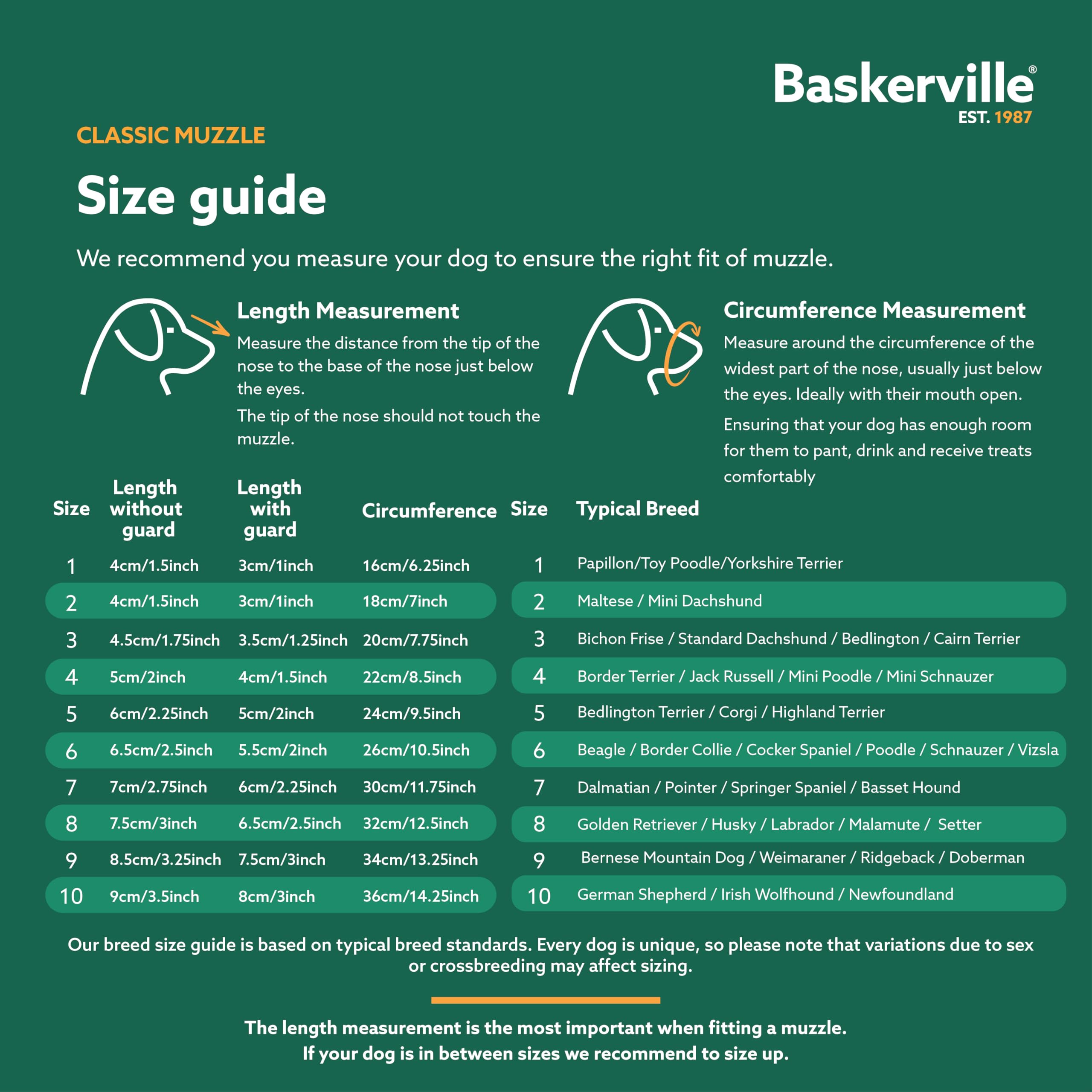 Baskerville Classic Basket Muzzle - Size 4, Prevents Biting & Scavenging | TPE Material 5