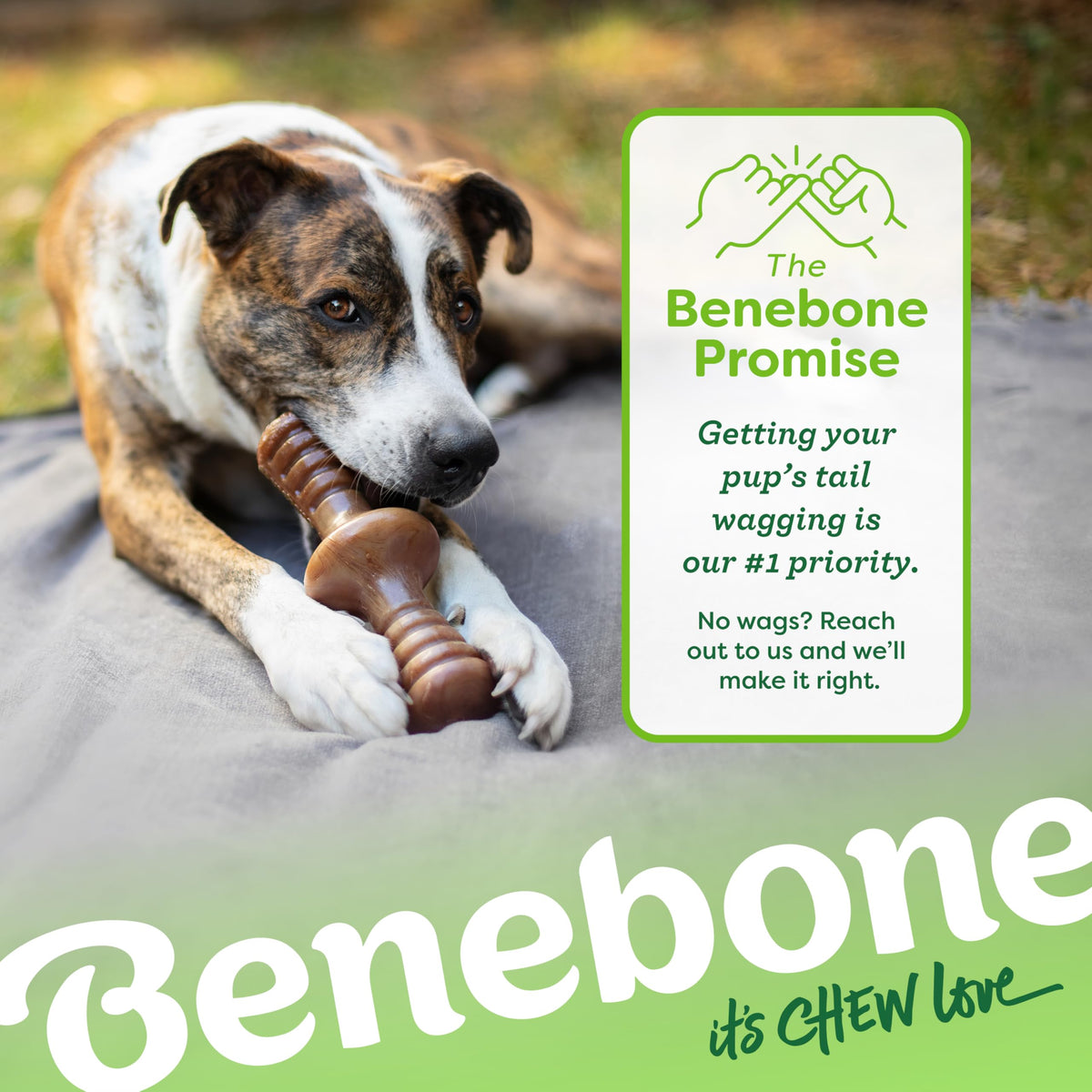 Benebone Zaggler Rolling Dog Chew Toy - Real Bacon, Large