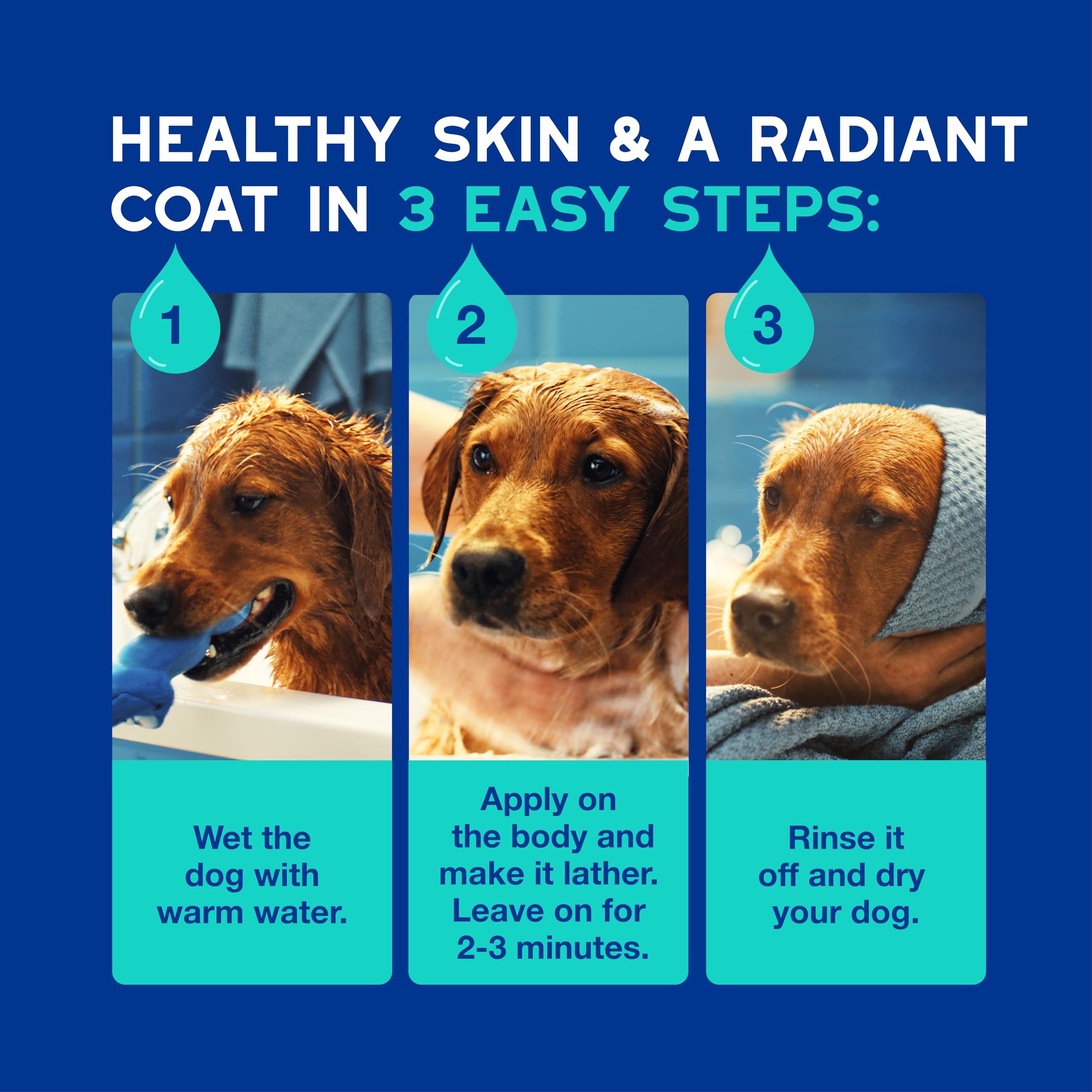 Douxo Odour Control Dog Shampoo - Deodorizing & Hypoallergenic Coco Vanilla Scent | 250 ml 6