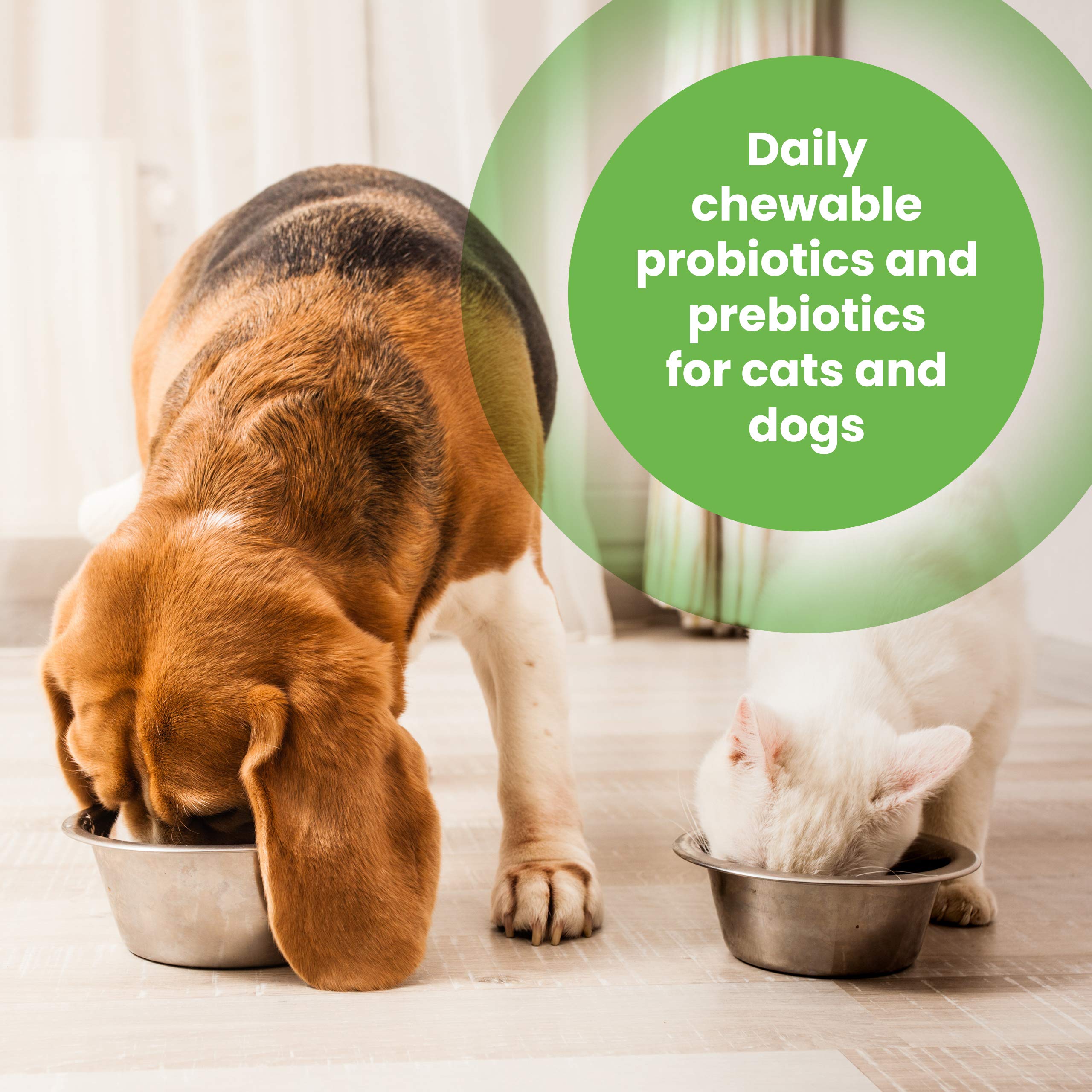 Protexin Pro-Balance Probiotic for Dogs and Cats - Daily Chewable Tablets for Digestive Health | 30 Count