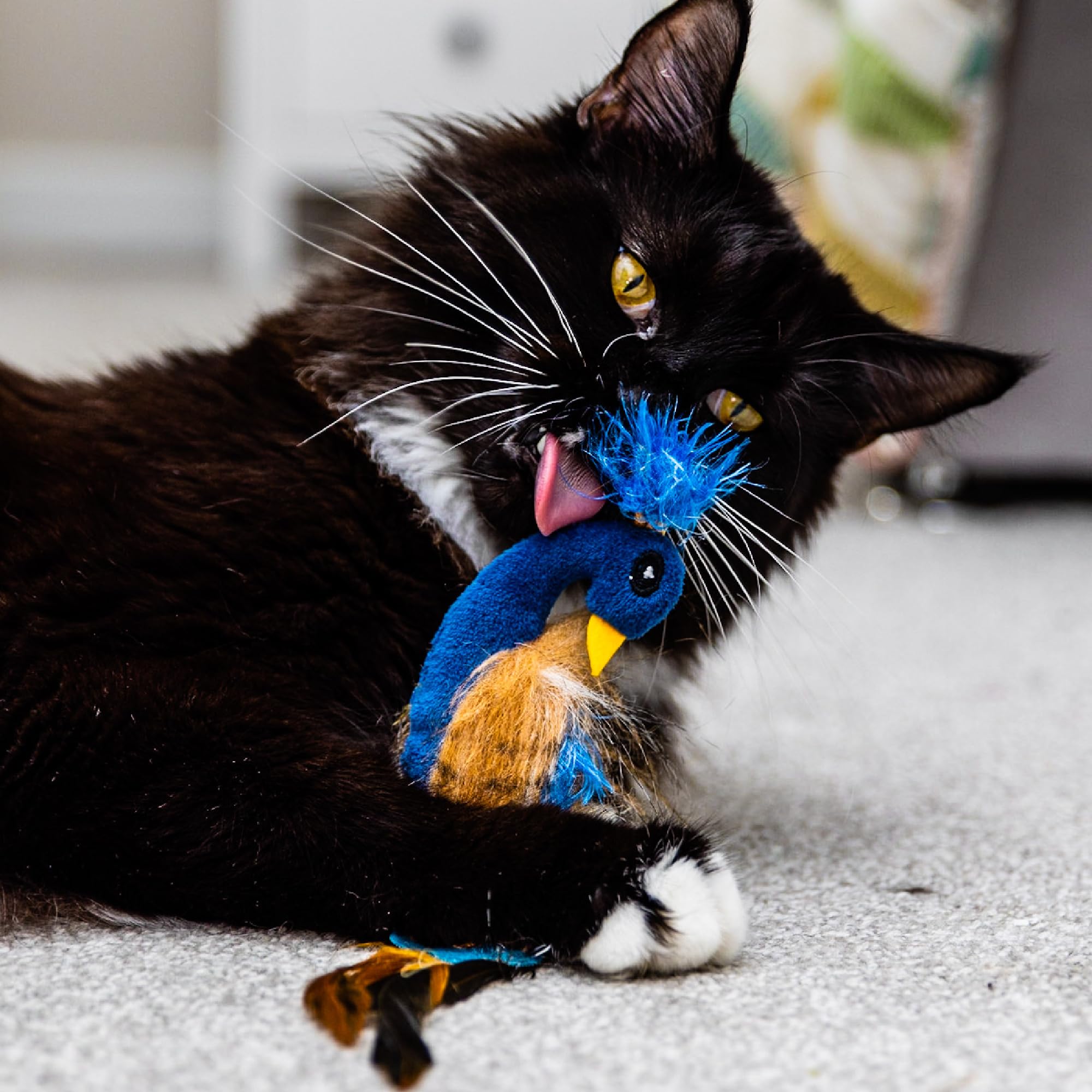 Ancol Peacock Cat Toy - Real Catnip Infused for Happiness and Relaxation | 29cm Length 2