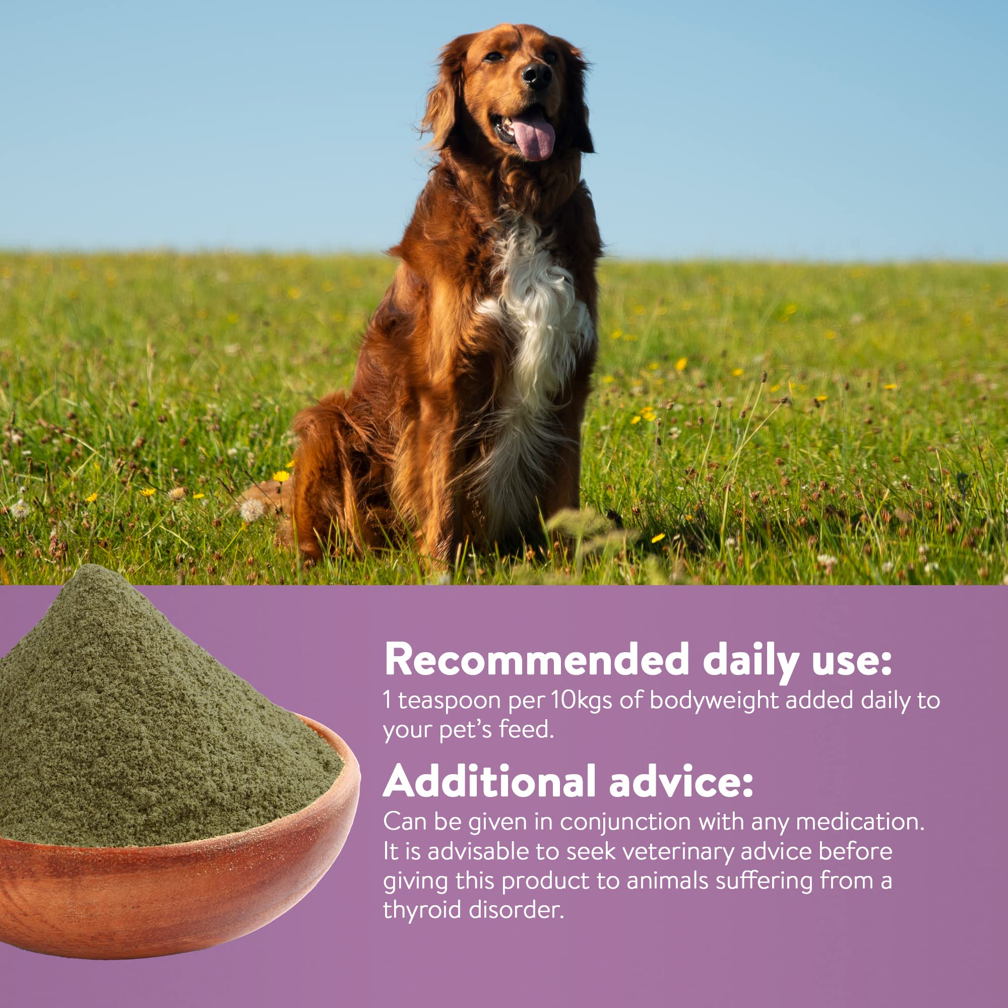 DORWEST HERBS Kelp Seaweed Powder for Dogs & Cats - Natural Multivitamin for Coat Growth & Pigmentation | 250g 4