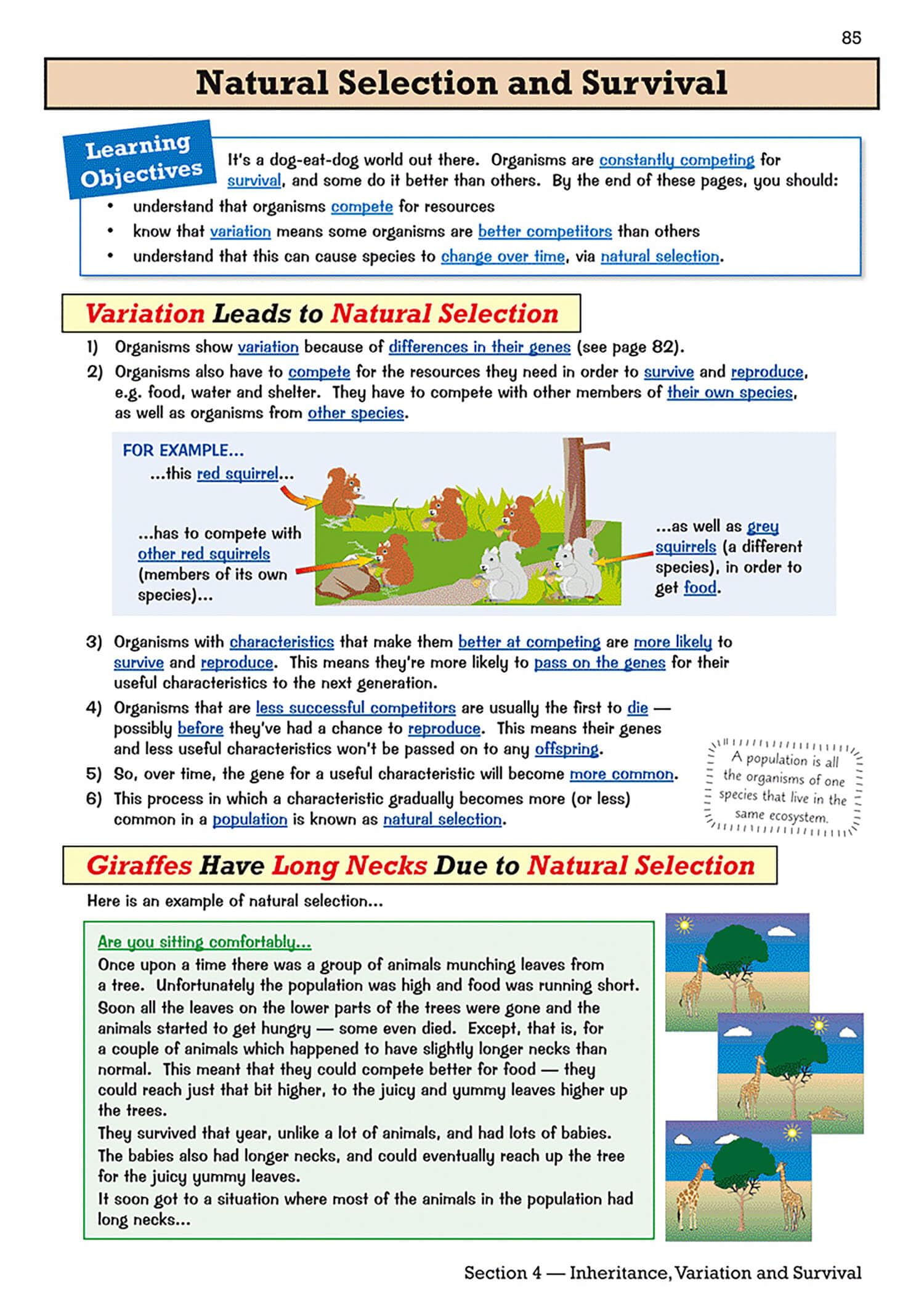 CGP KS3 Biology Study & Question Book - Higher Level | Ages 11-14 | Paperback 8