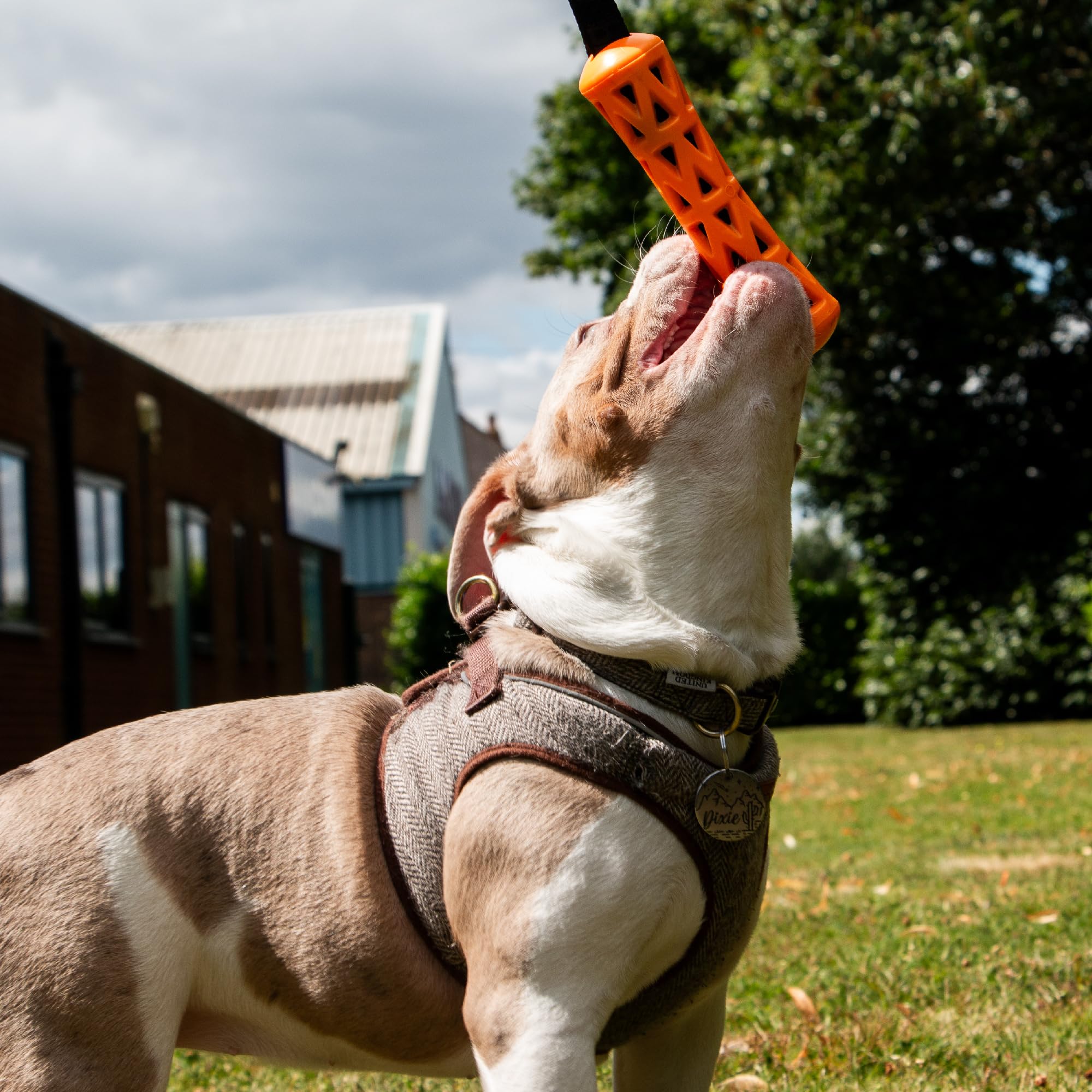 Ancol Extreme Floating Baton Dog Toy - Orange/Black, 25cm Length 2