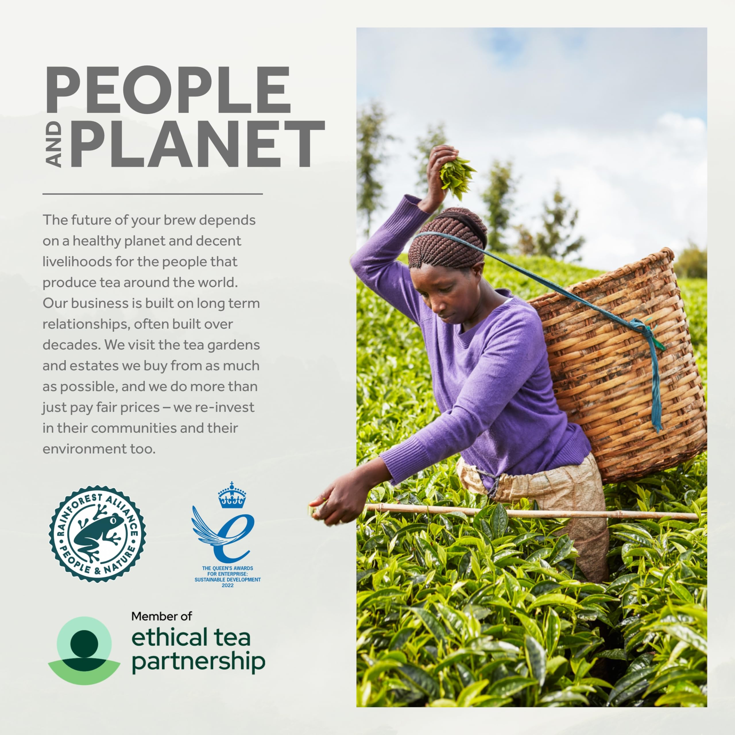 Yorkshire Gold Tea 80 Tea Bags (Pack of 5) - 400 Teabags Total, Rich & Smooth Black Tea Blend 9