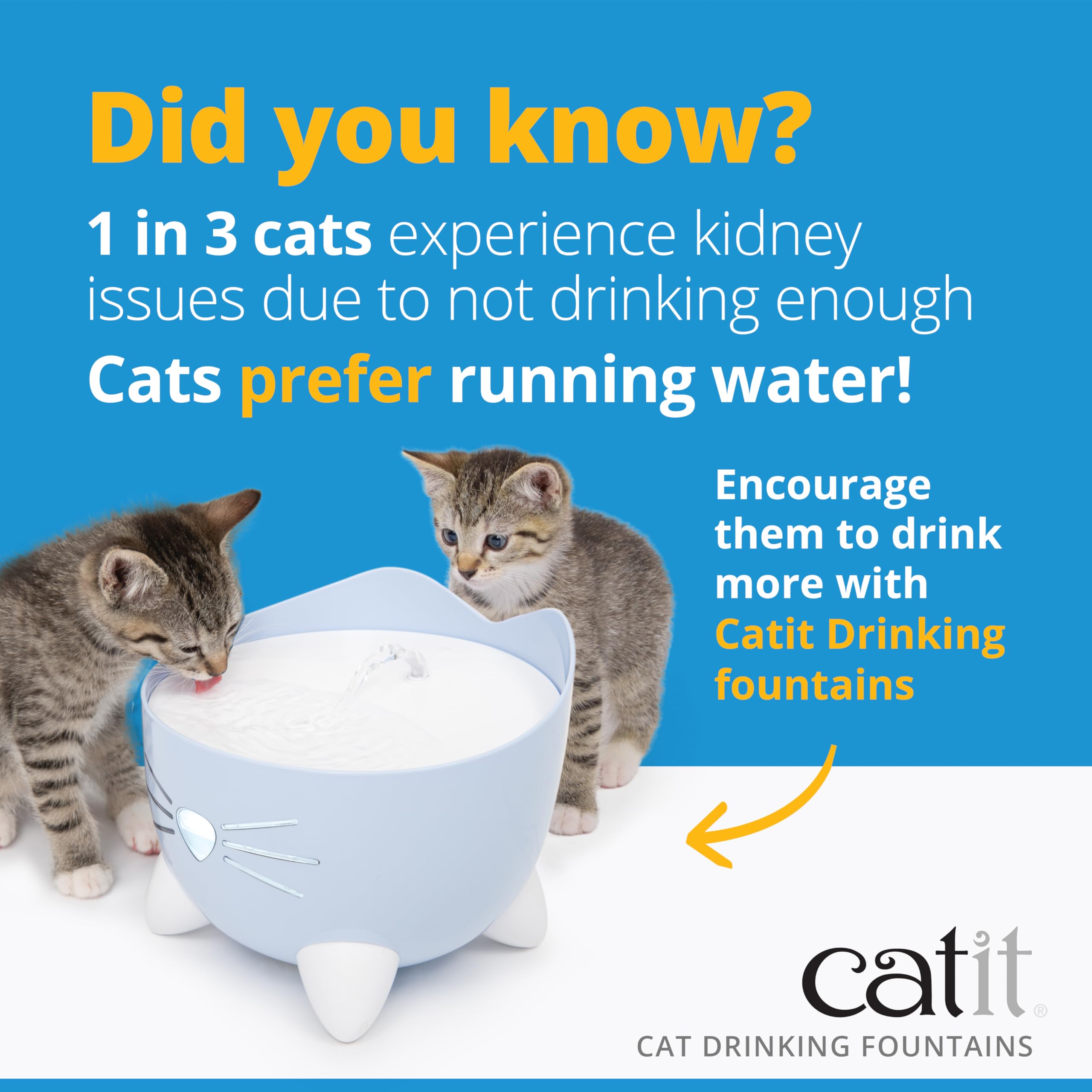 Catit PIXI Stainless Steel Automatic Drinking Water Fountain for Cats | Triple Action Filtration 7