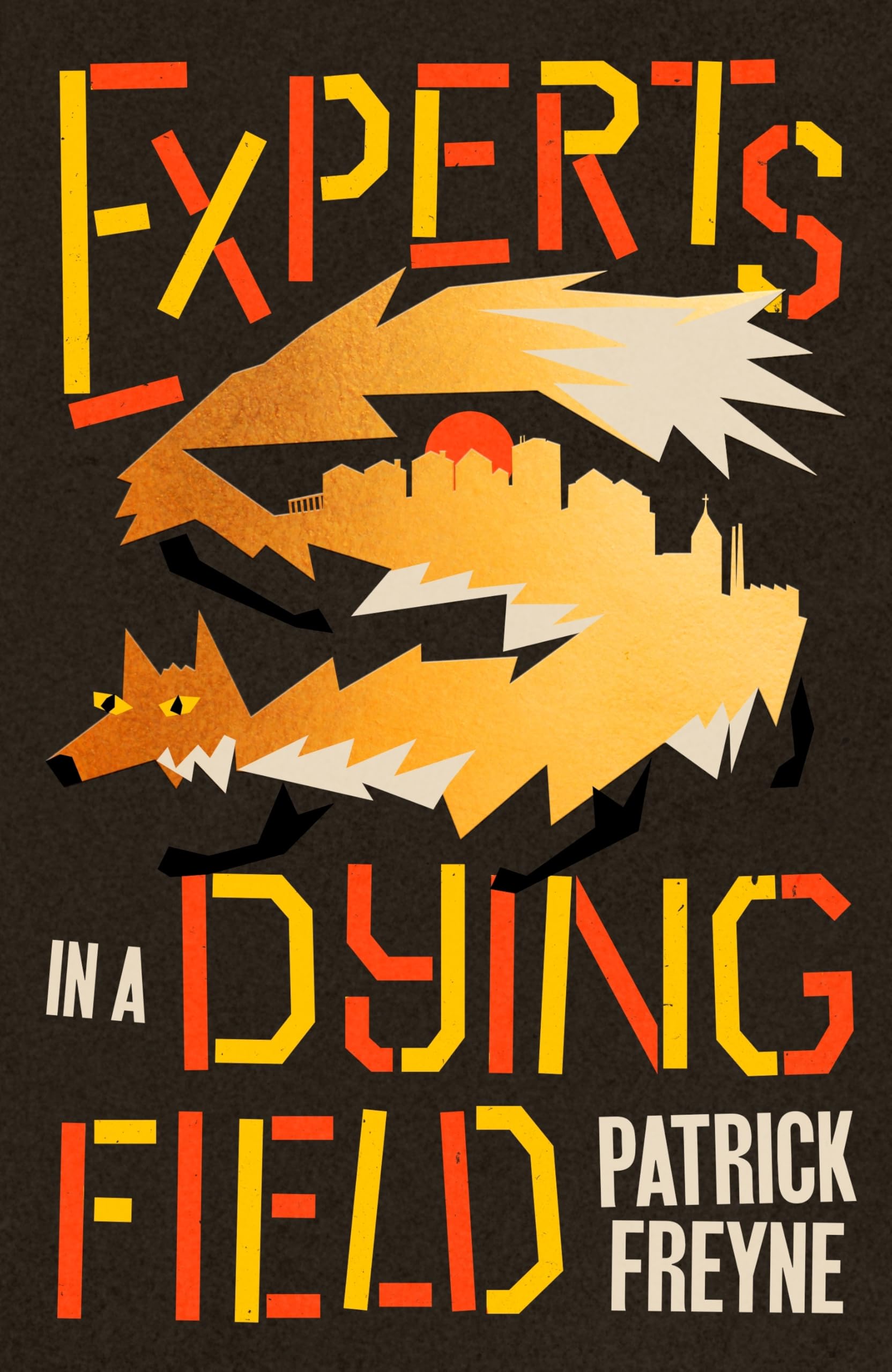 Patrick Freyne - Experts in a Dying Field [Hardcover] 1