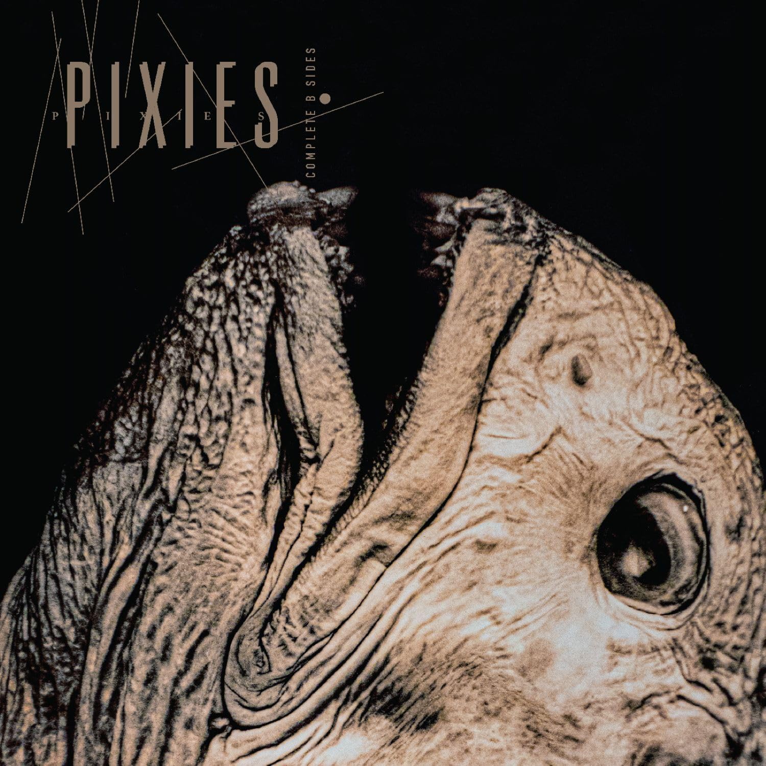 Pixies - Complete B Sides: 1988-97 [CD] 1