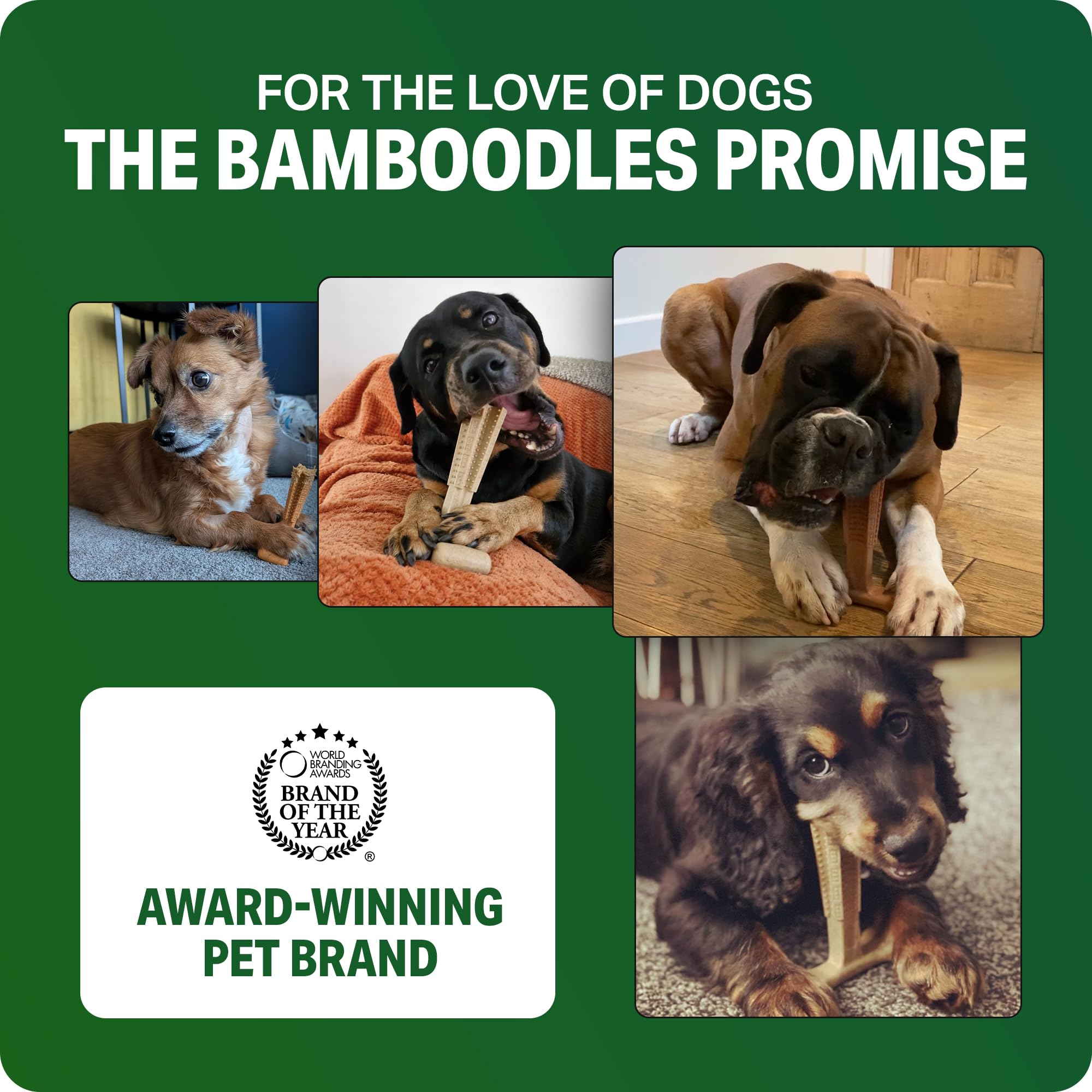 Bamboodles T Bone Dog Chew for Medium Dogs | Beef Flavor | Durable Bamboo & Nylon 6