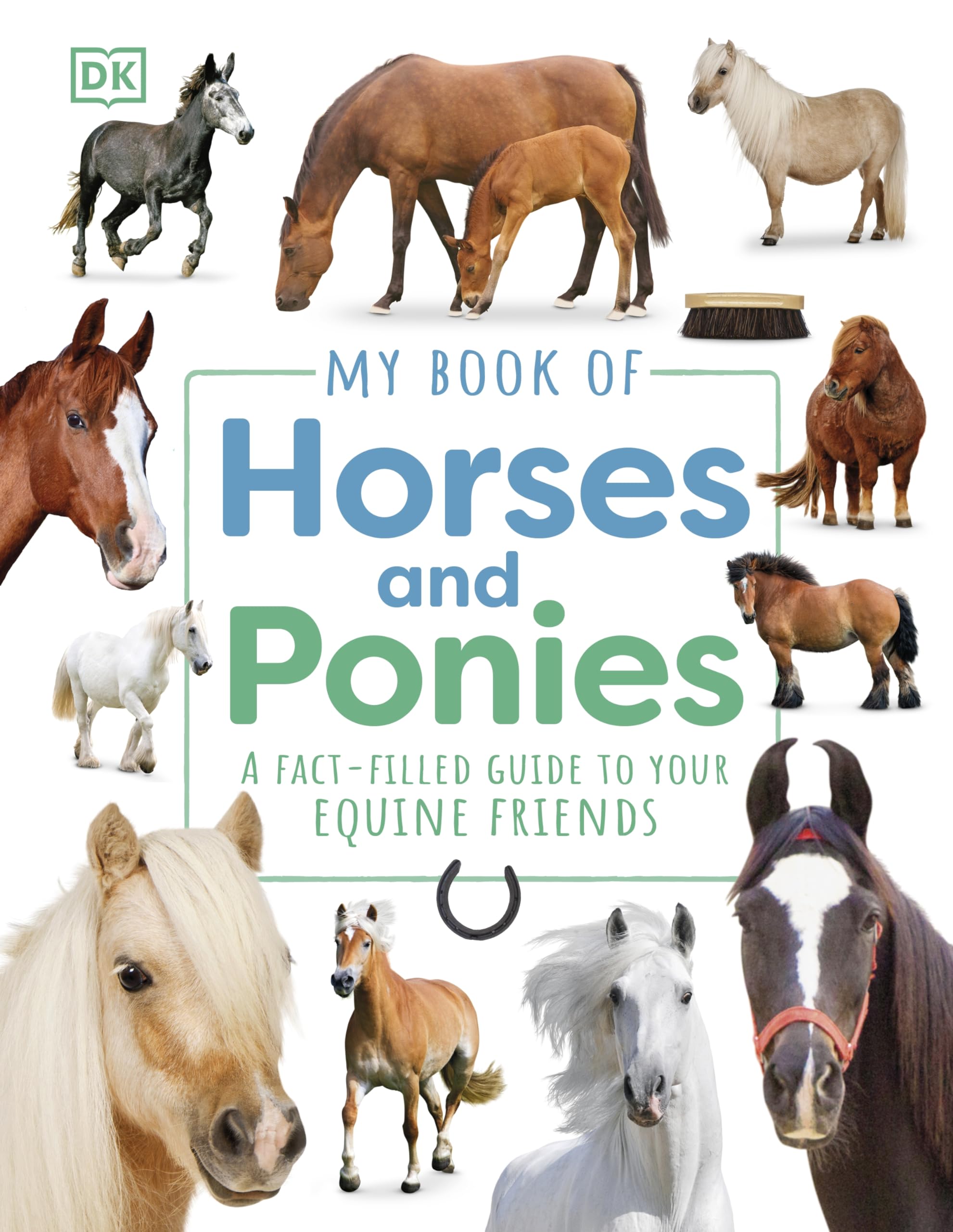 DK My Book of Horses and Ponies - Children's Guide to Equine Friends | Ages 5-9 | 96 Pages | English 1