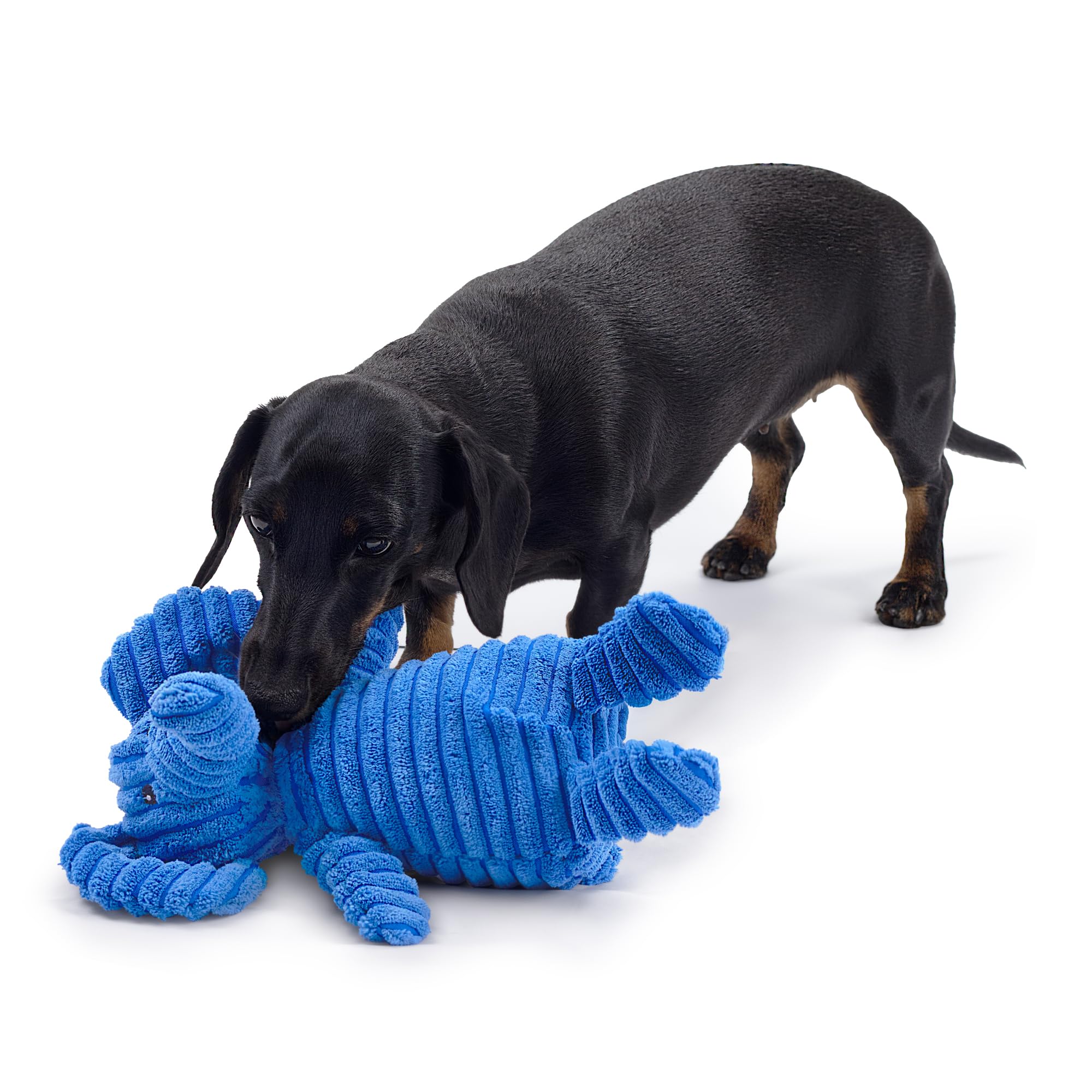 Zappi Co Blue Elephant Plush Dog Toy with Squeaker - Small/Medium Dogs, Corduroy, Non-Toxic Stuffing 5