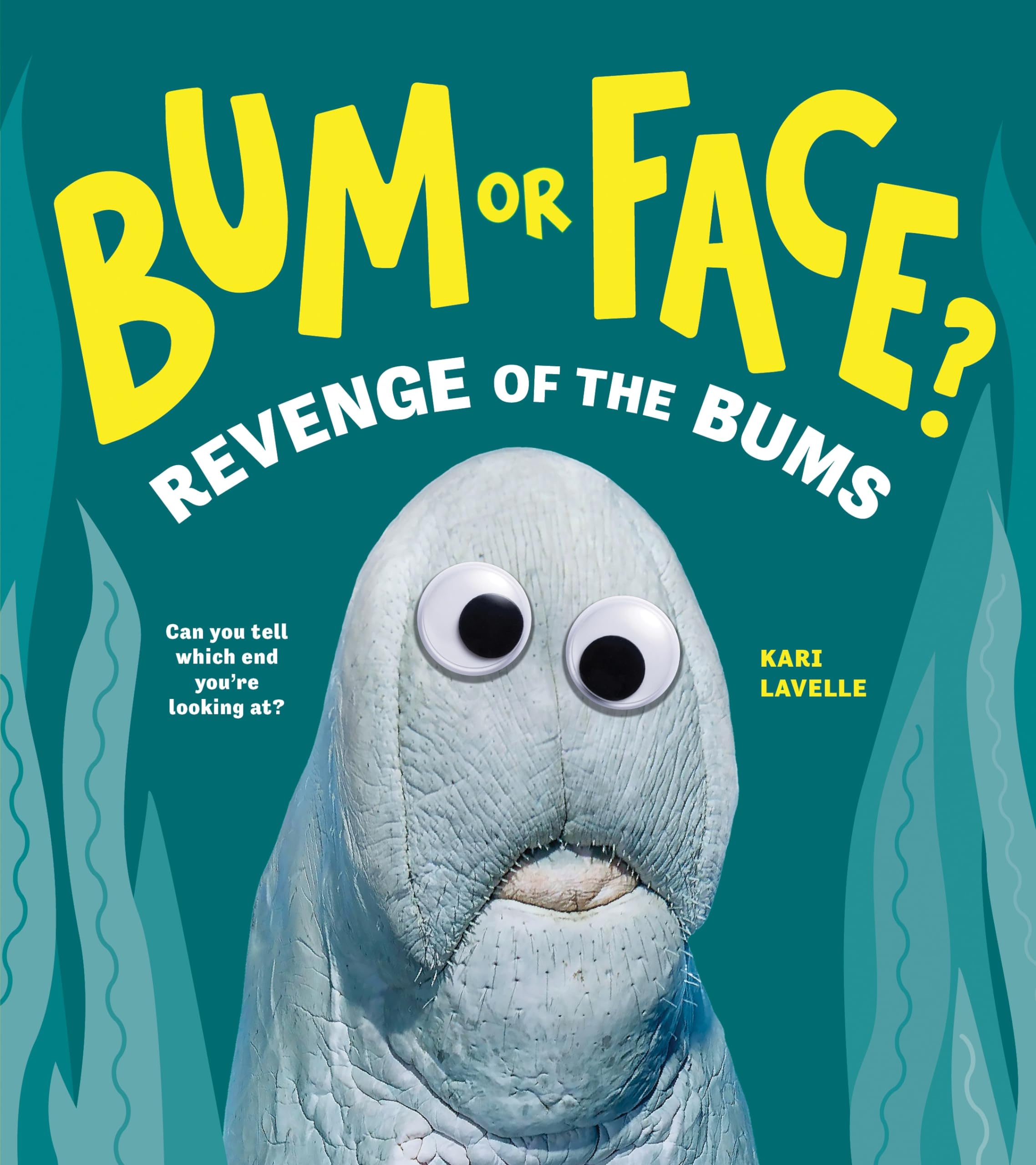Sourcebooks Explore Bum or Face? Volume 2: Revenge of the Bums Picture Book - Ages 4-8 1