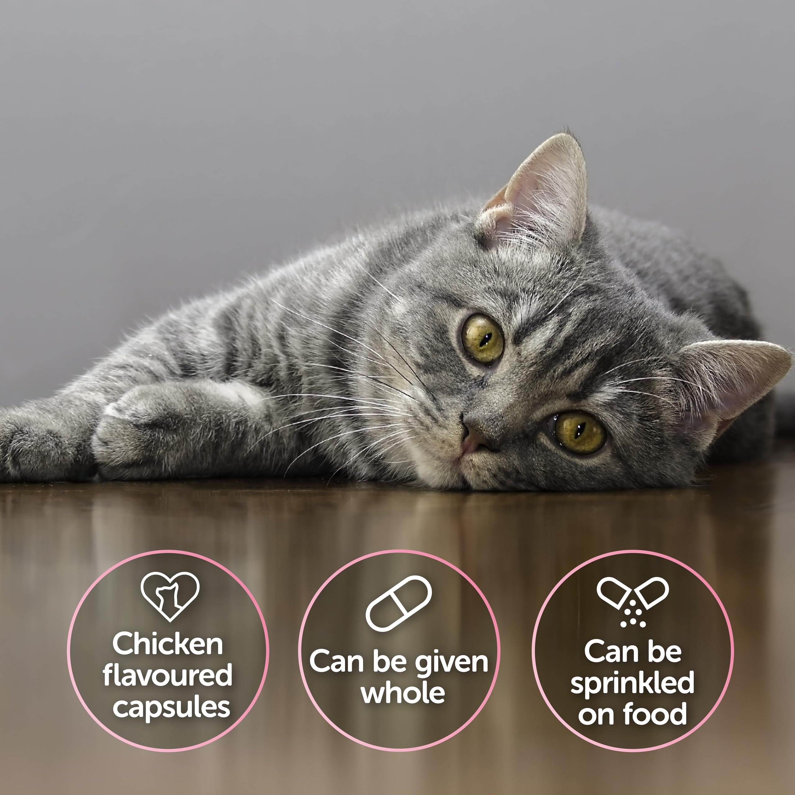 Protexin Veterinary Cystophan Capsules for Cats - Urinary & Stress Support | 30 Count 5