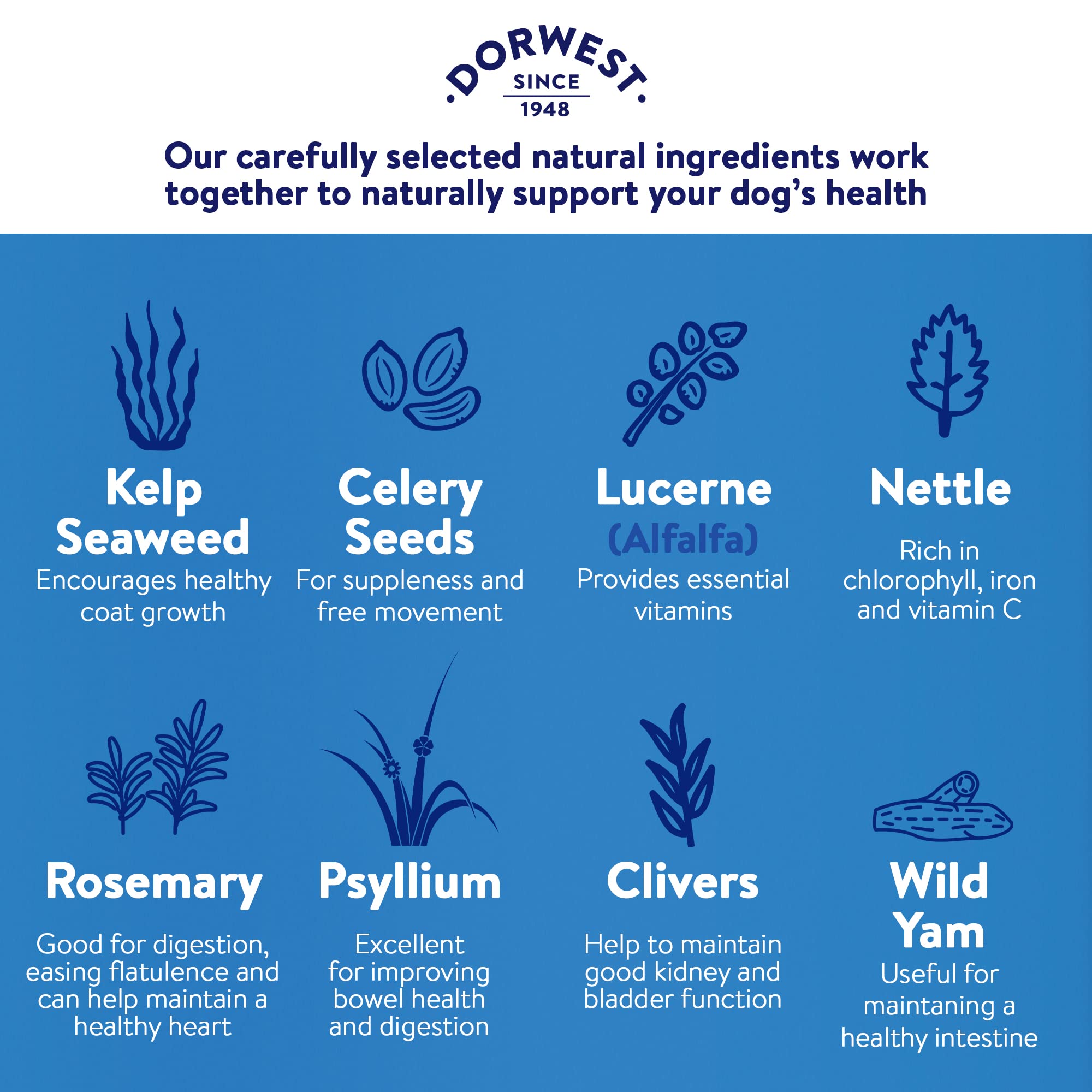 DORWEST HERBS Keeper’s Mix Herbal Health Supplement for Dogs and Cats - 250g 5