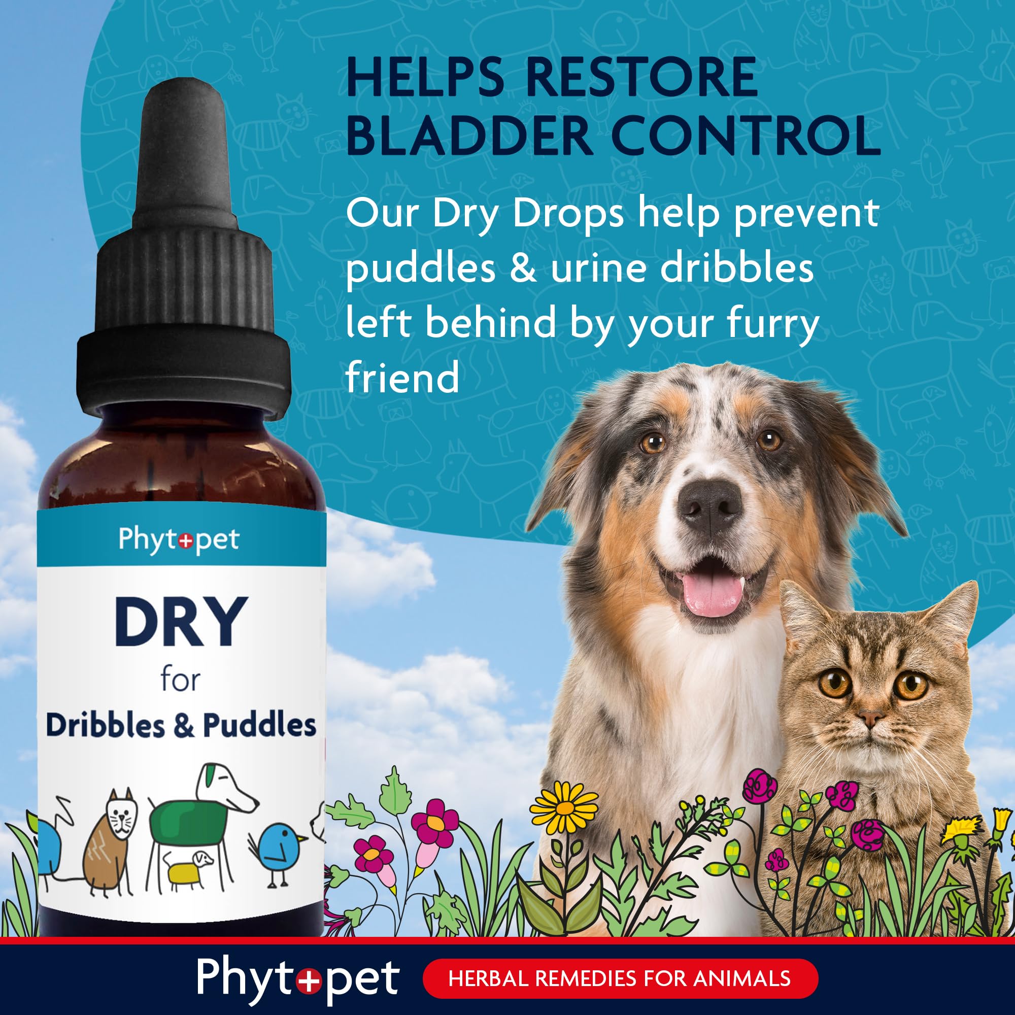 Phytopet Dry Herbal Supplement - Urinary Tract Support | 100ml Liquid