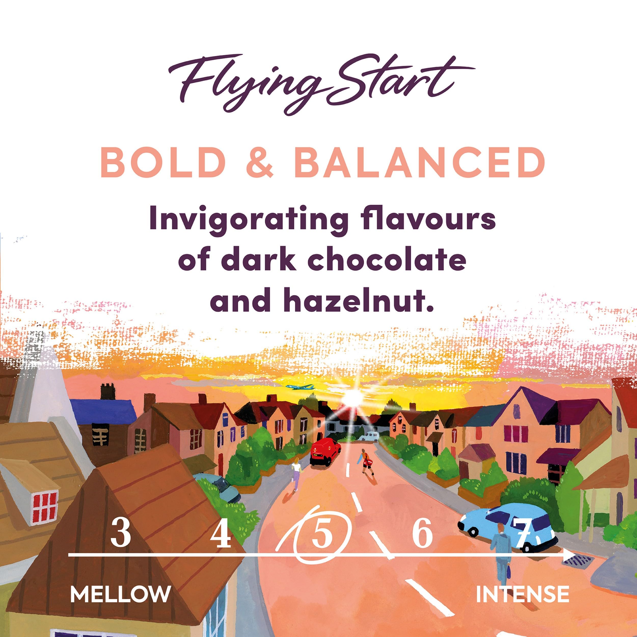 Taylors of Harrogate Flying Start Ground Coffee - Dark Roast, Hazelnut & Dark Chocolate Notes | 6 x 200g 2