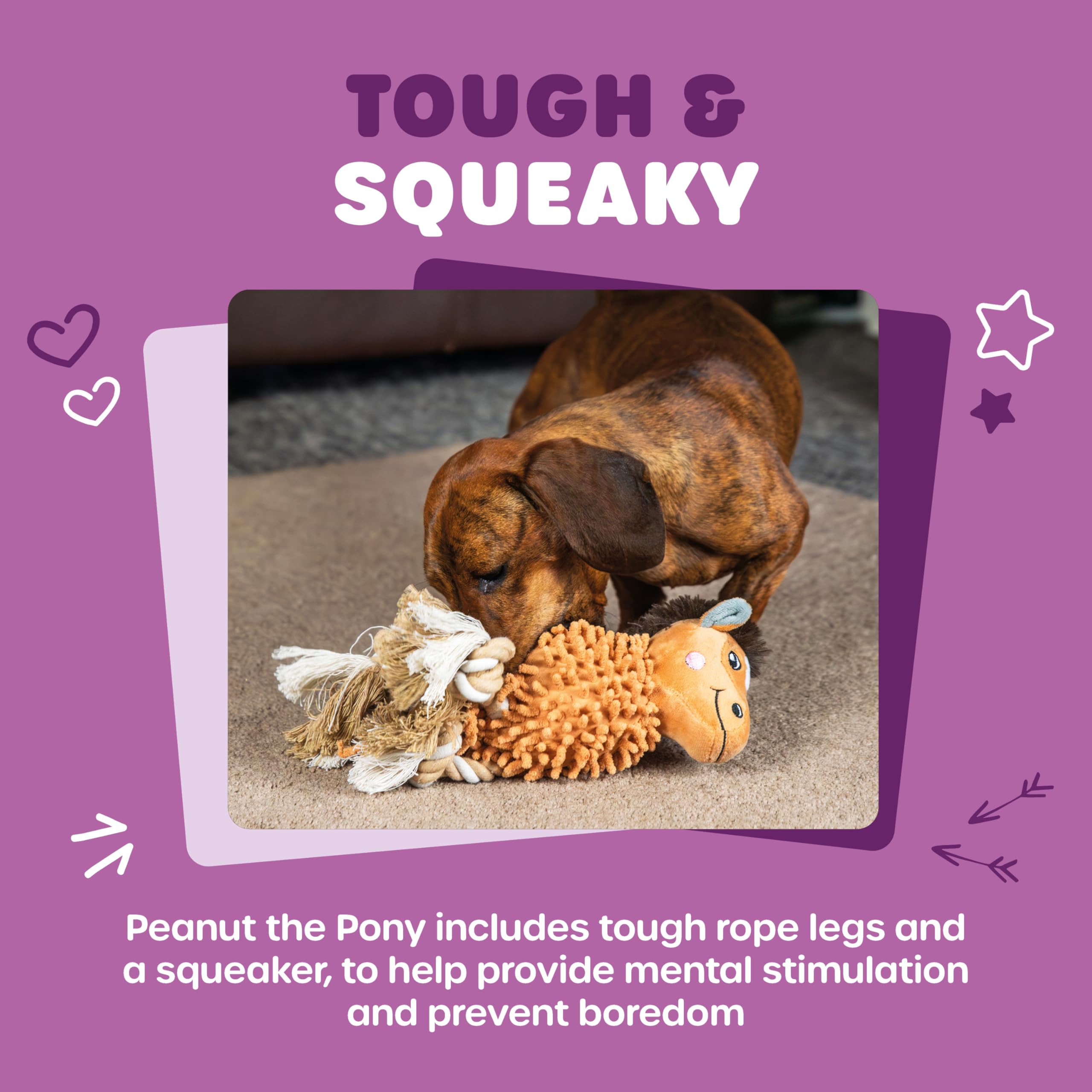 Webbox Peanut the Pony Cuddle Noodle Dog Toy - Squeaky & Soft | All Breed Sizes | 180g 3