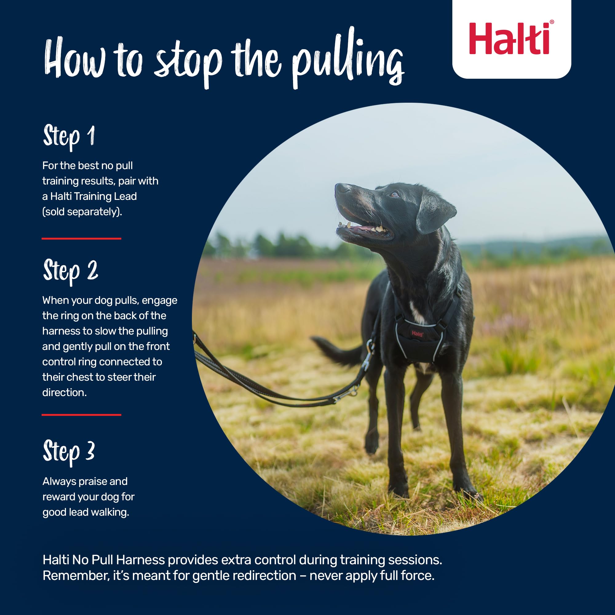 Halti No Pull Harness - Stops Pulling with Front Control Steering | Size M | Deep Walnut 4