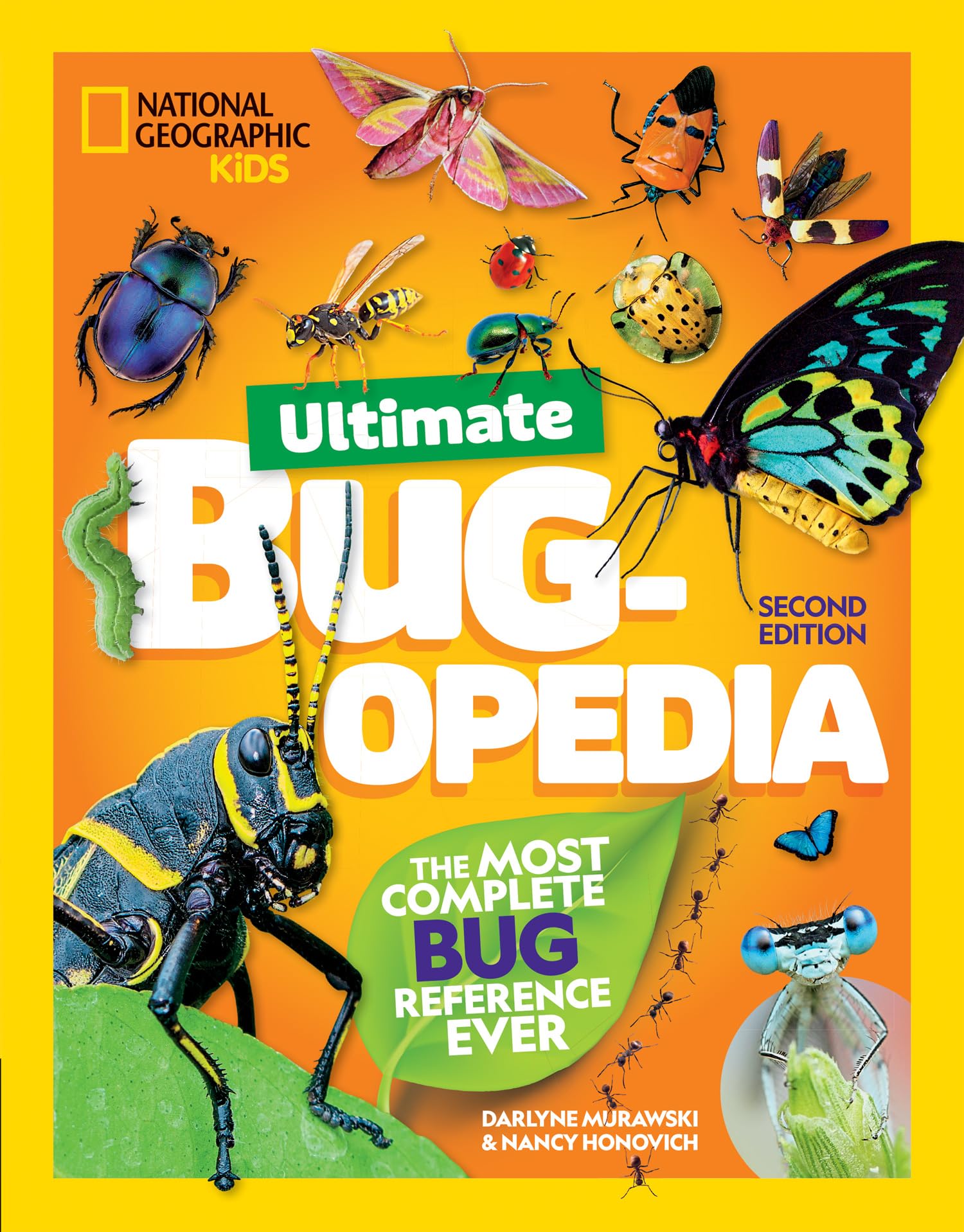 Collins Ultimate Bug-opedia: Fact-Packed Insect Encyclopedia for Young Explorers | Hardcover 1