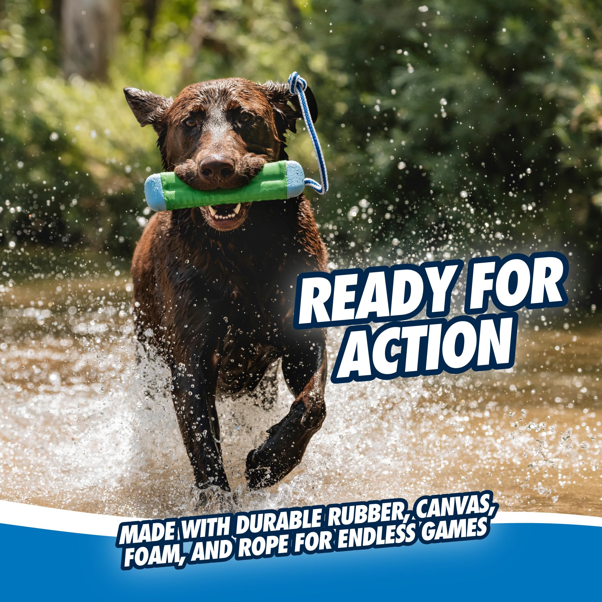 Chuckit! Amphibious Bumper Dog Toy - Medium Size, Water-Friendly Fetch Toy | Floats | Lightweight 6