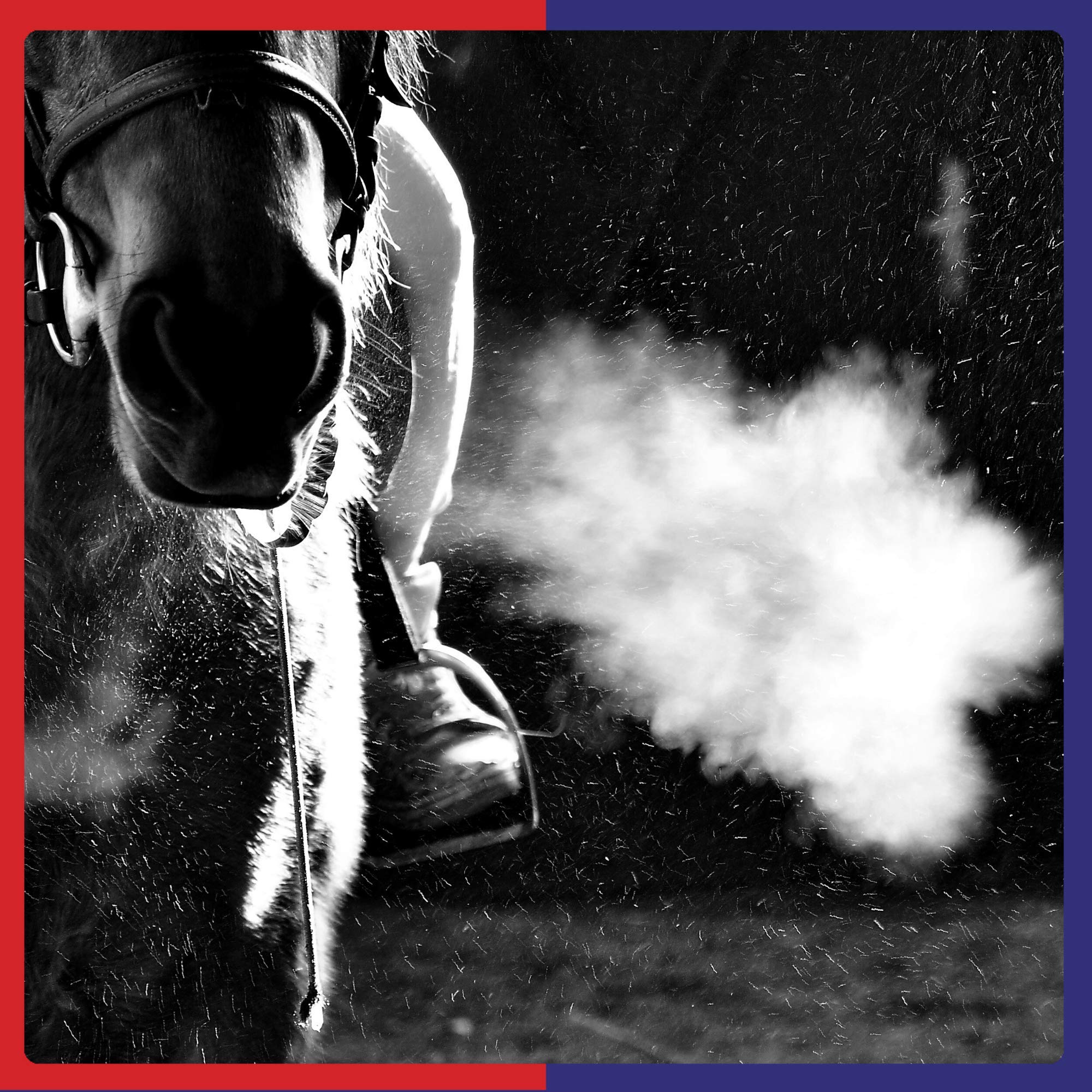 Equine America Airways Solution - Supports Respiratory Health | 500ml 5