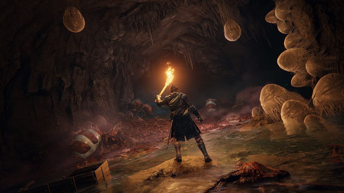 Elden Ring [PS5] 11