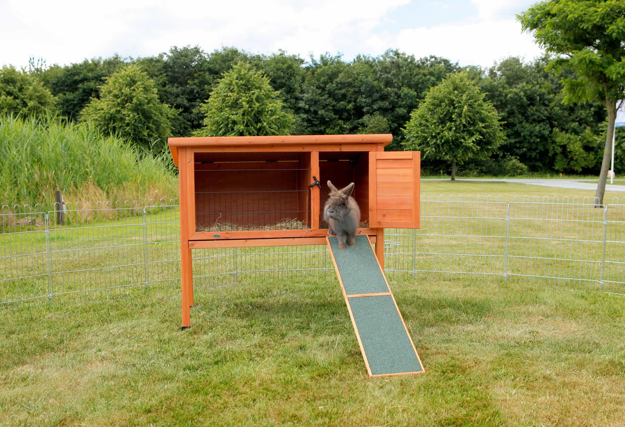 TRIXIE Natura Wooden Rabbit Ramp - Glazed Pine | Green | 498x202x35mm