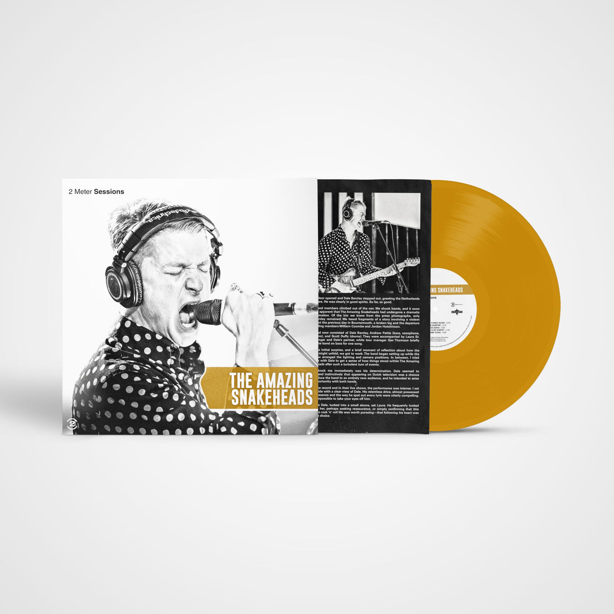 The Amazing Snakeheads - 2 Meter Sessions [Limited Gold Vinyl Deluxe Edition]