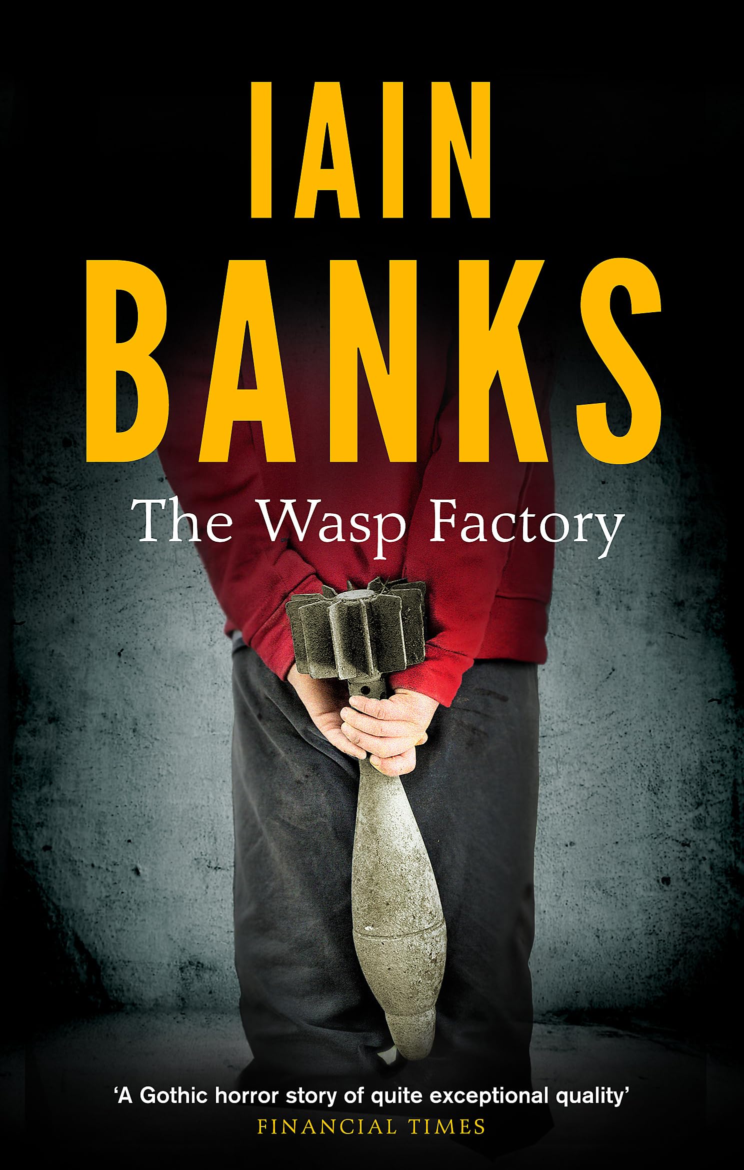 Abacus The Wasp Factory - Metaphysical & Visionary Fiction Paperback 1