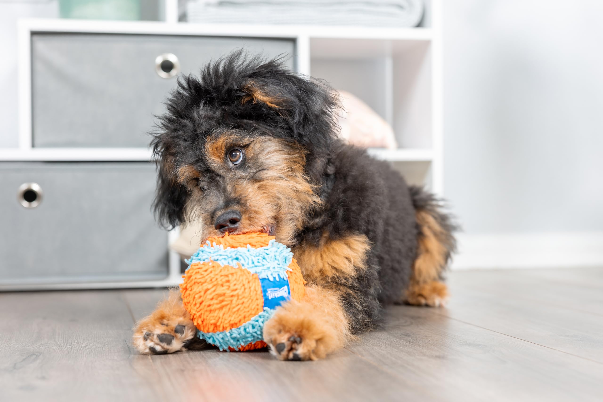 Chuckit! Indoor Ball - Durable Resilient Toy for Small Dogs | 12 cm Diameter
