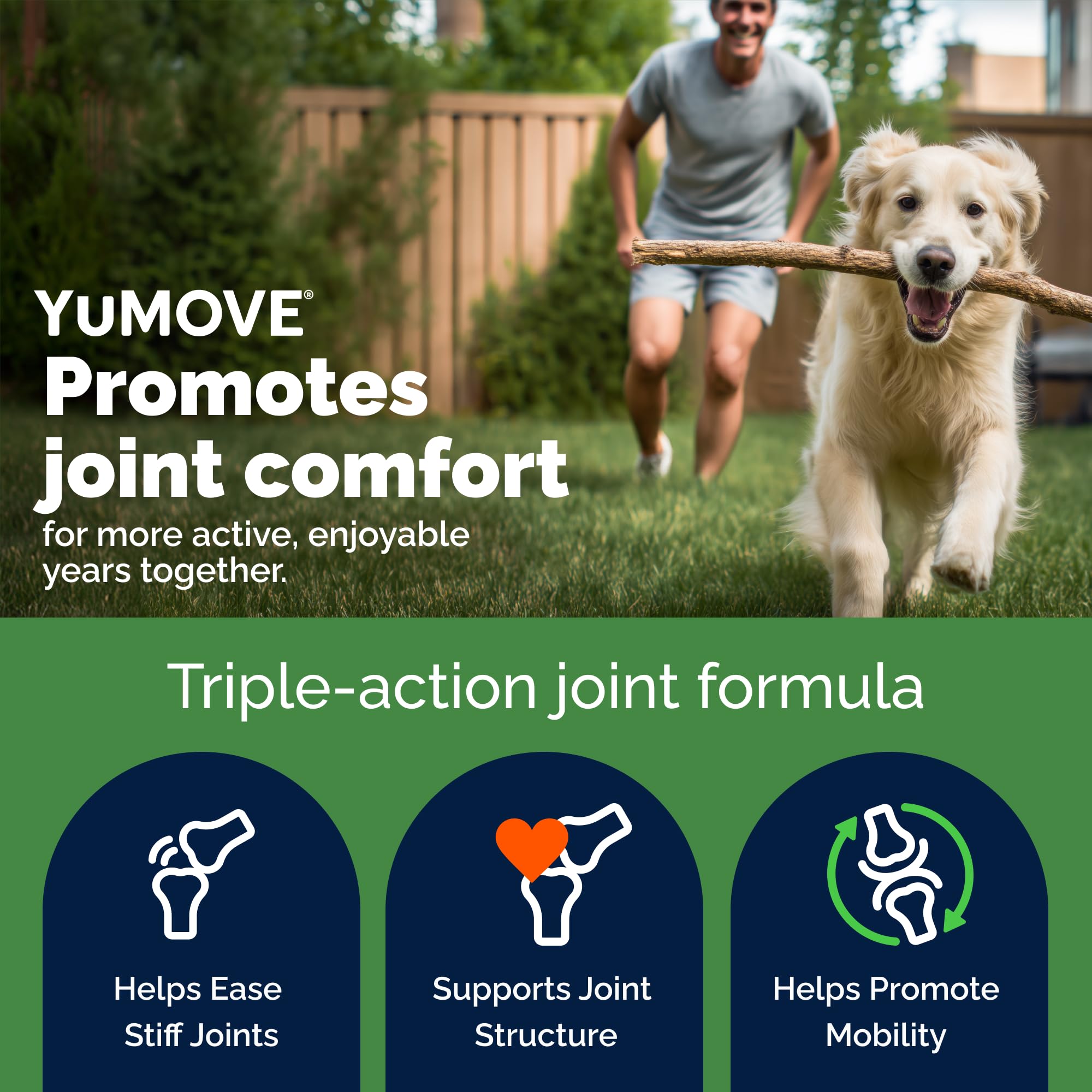 YuMOVE Senior Dog - Higher Strength Hip and Joint Supplement | 240 Tablets | Seafood Flavor