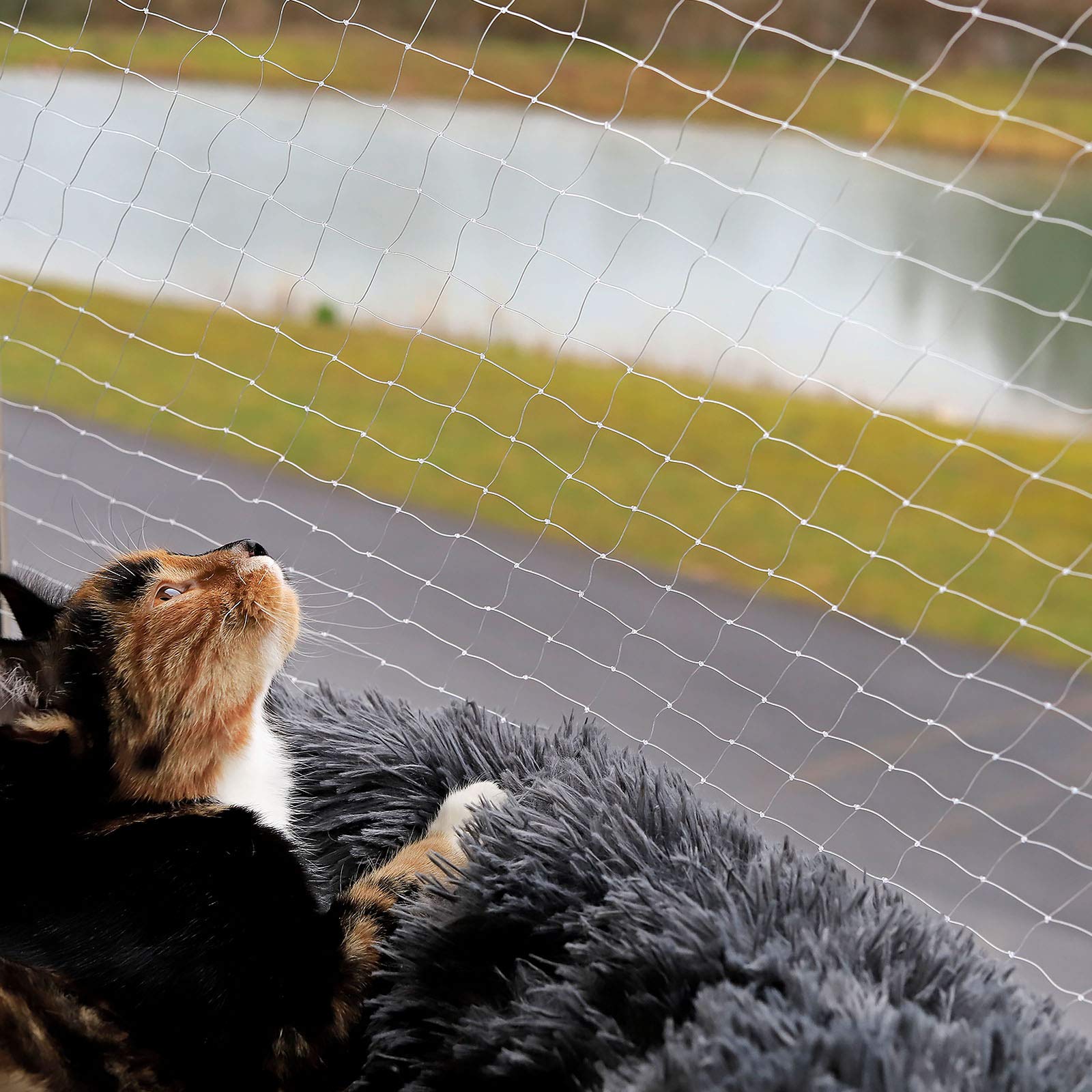 lionto Cat Safety Balcony Net - 3 x 4 m Transparent Nylon Protection | Weather Resistant 2