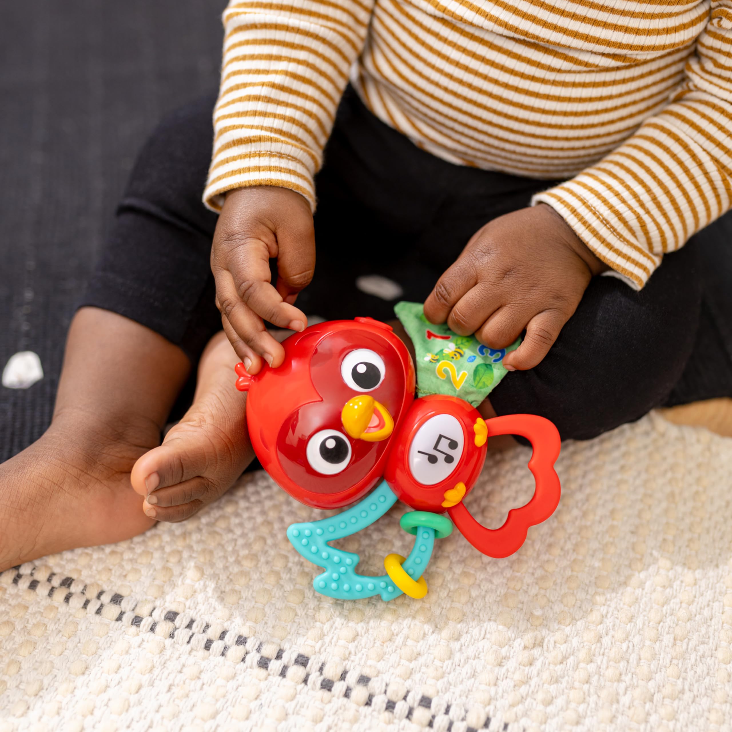 Baby Einstein Roxy’s Bright Flight Musical Toy - Multisensory Play | Ages 3 Months+ 5